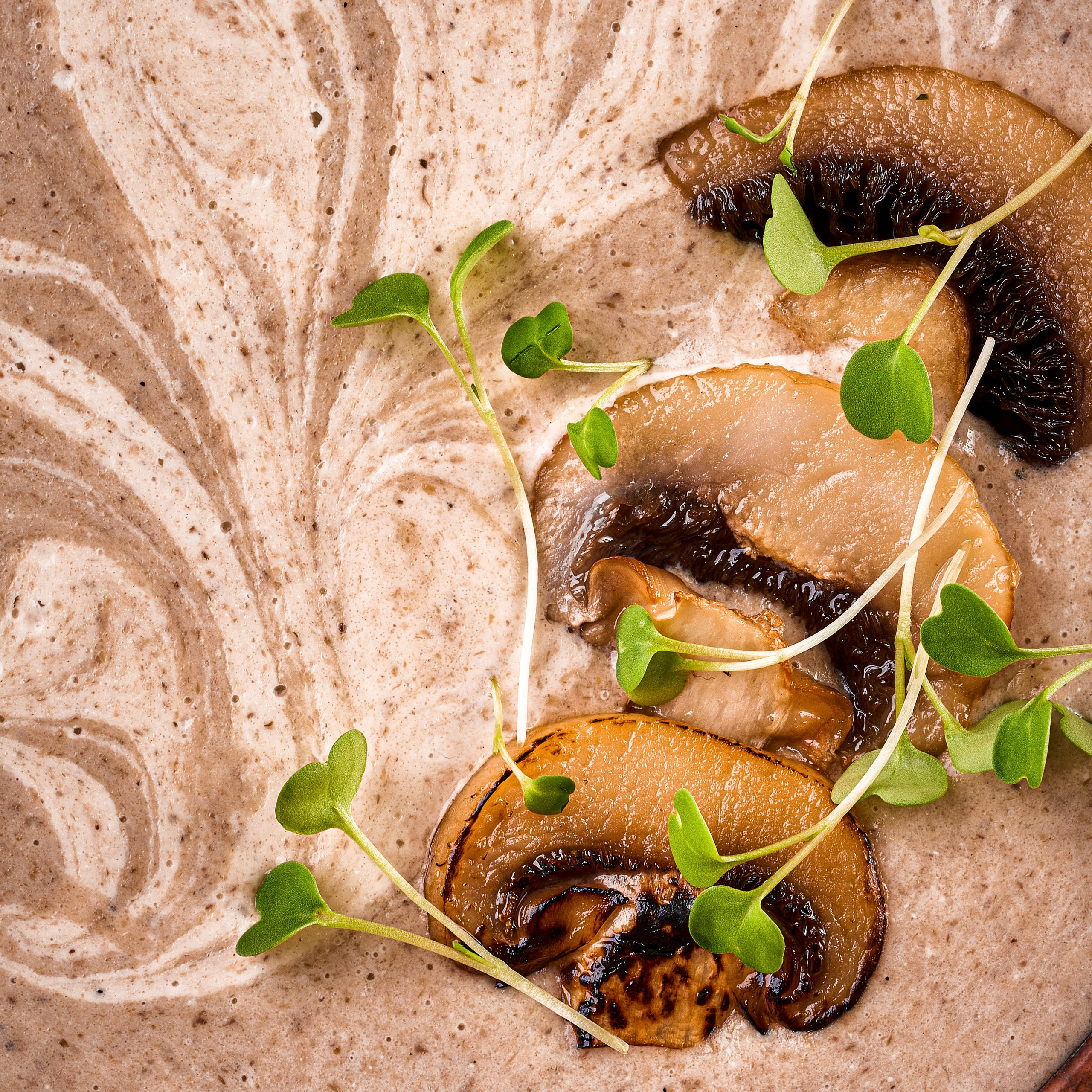 Меню и бар. Cheese Food Photo — Предметная и фуд фотосъёмка в Белгороде