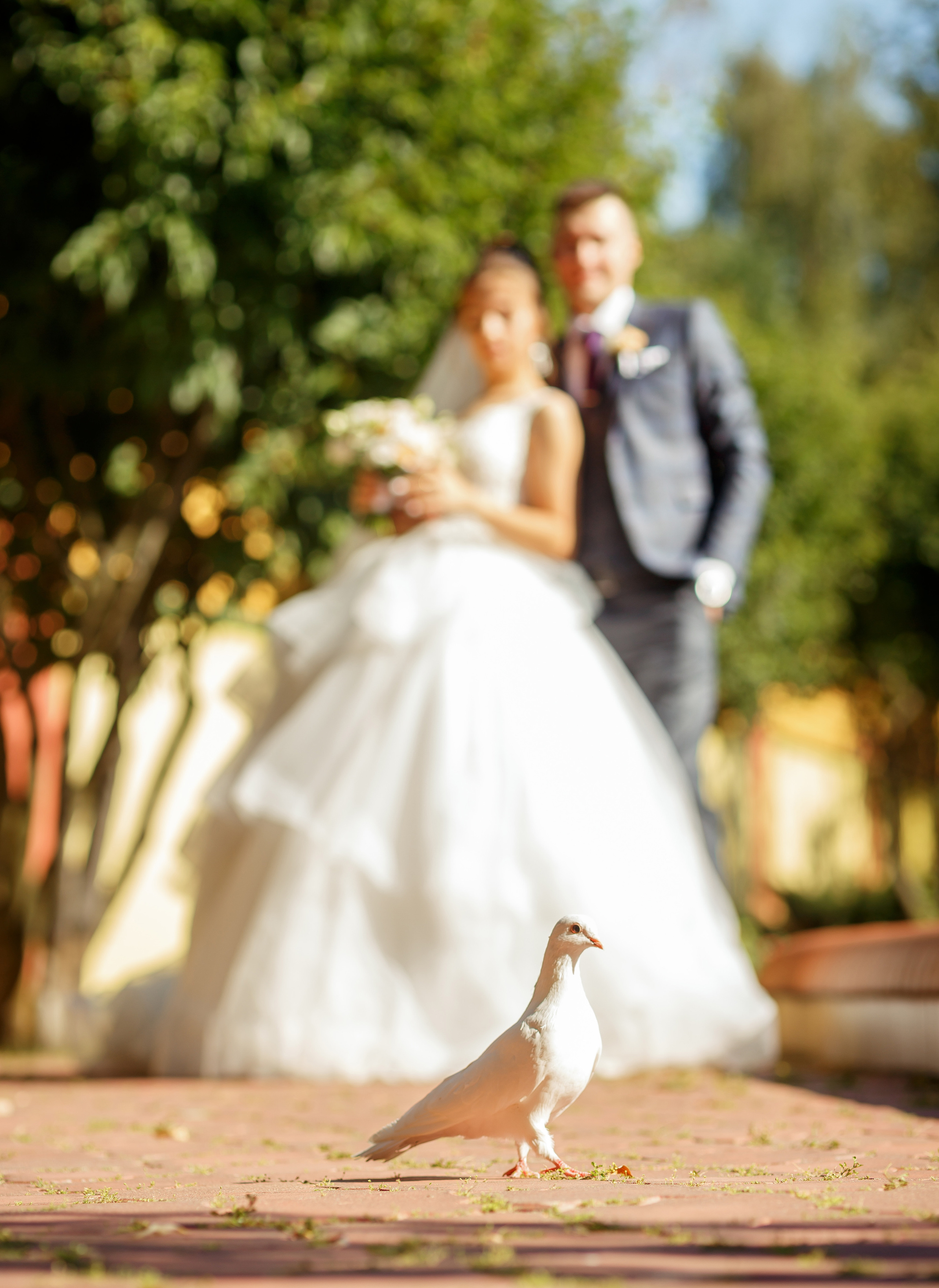 Арина и Максим. Свадебный фотограф Расторгуев Дмитрий