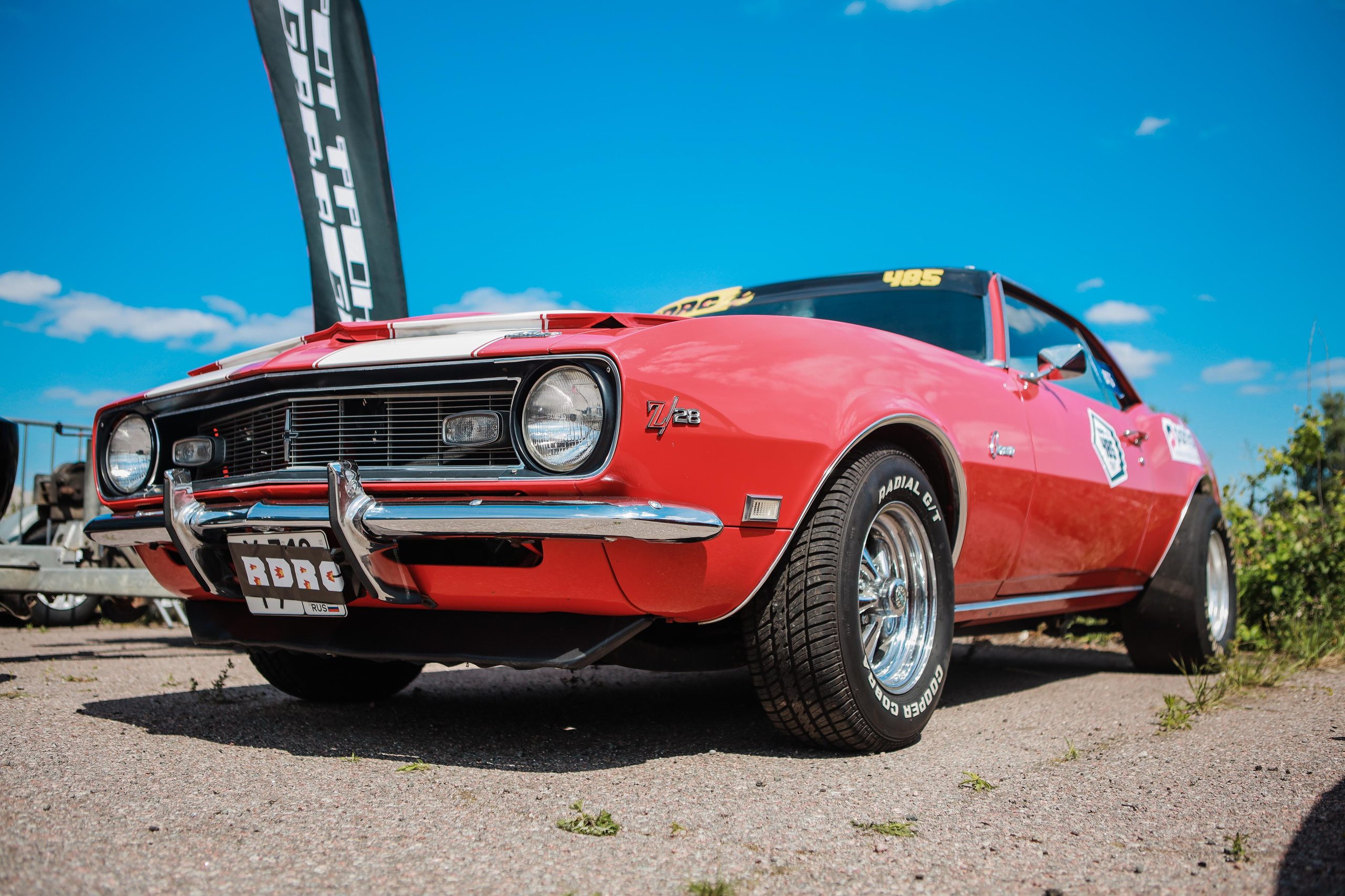 RDRC 2этап (2023). Свадебный фотограф Расторгуев Дмитрий