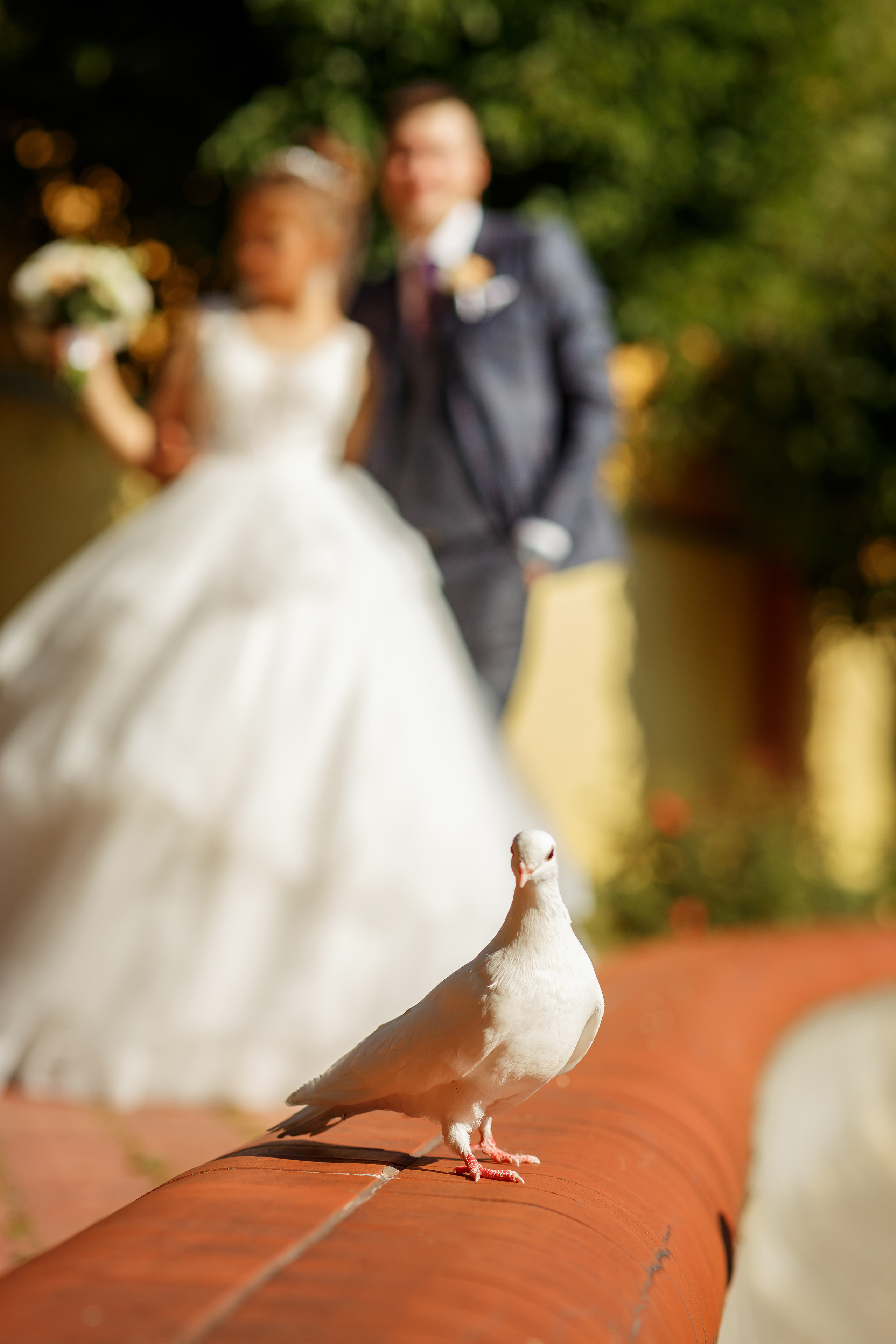 Арина и Максим. Свадебный фотограф Расторгуев Дмитрий