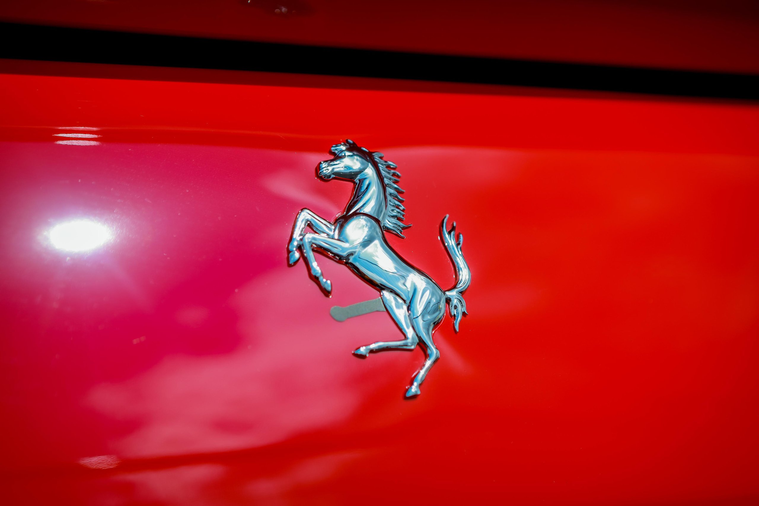 Unlim Fest 2023. Свадебный фотограф Расторгуев Дмитрий