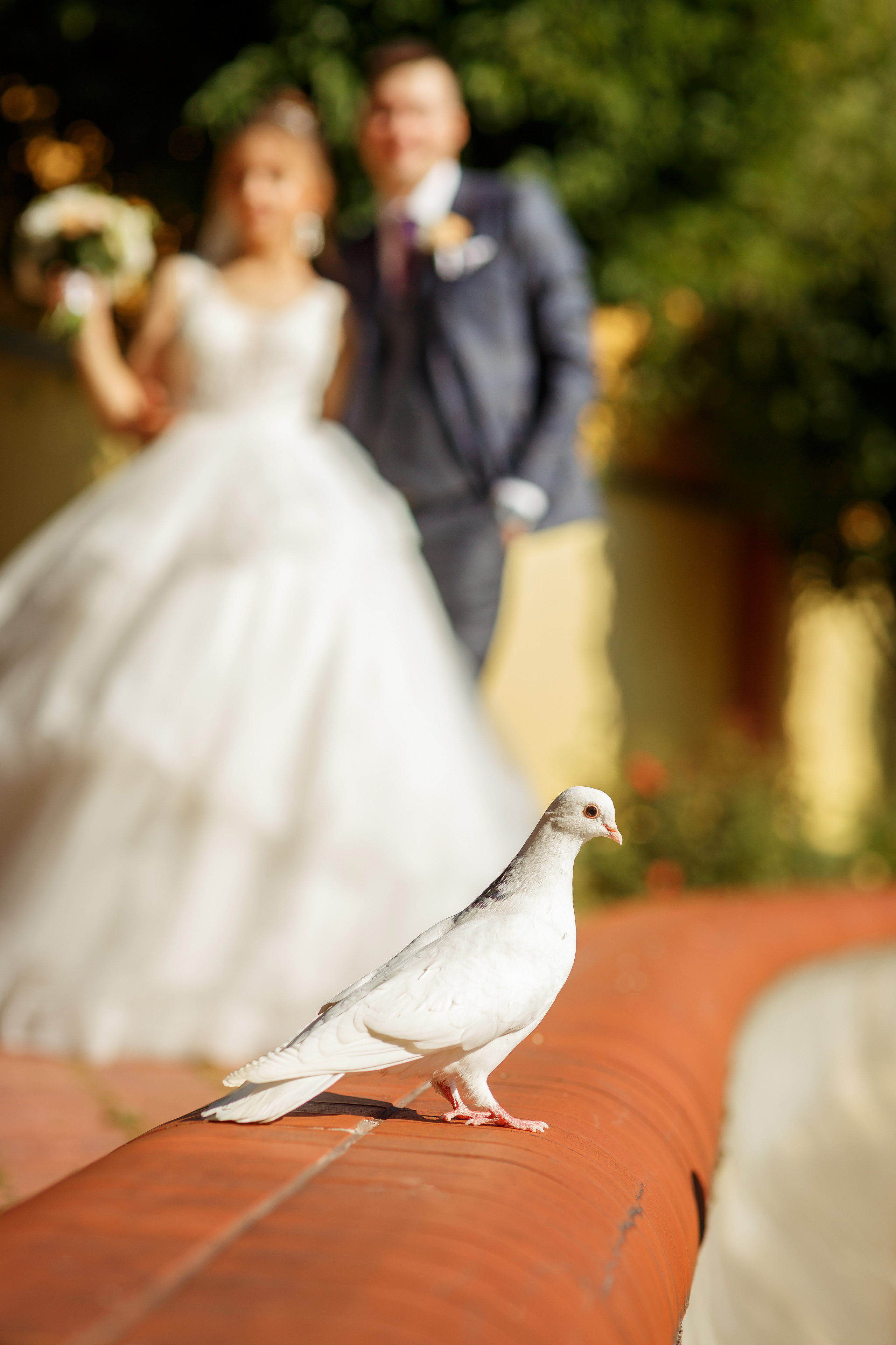 Арина и Максим. Свадебный фотограф Расторгуев Дмитрий