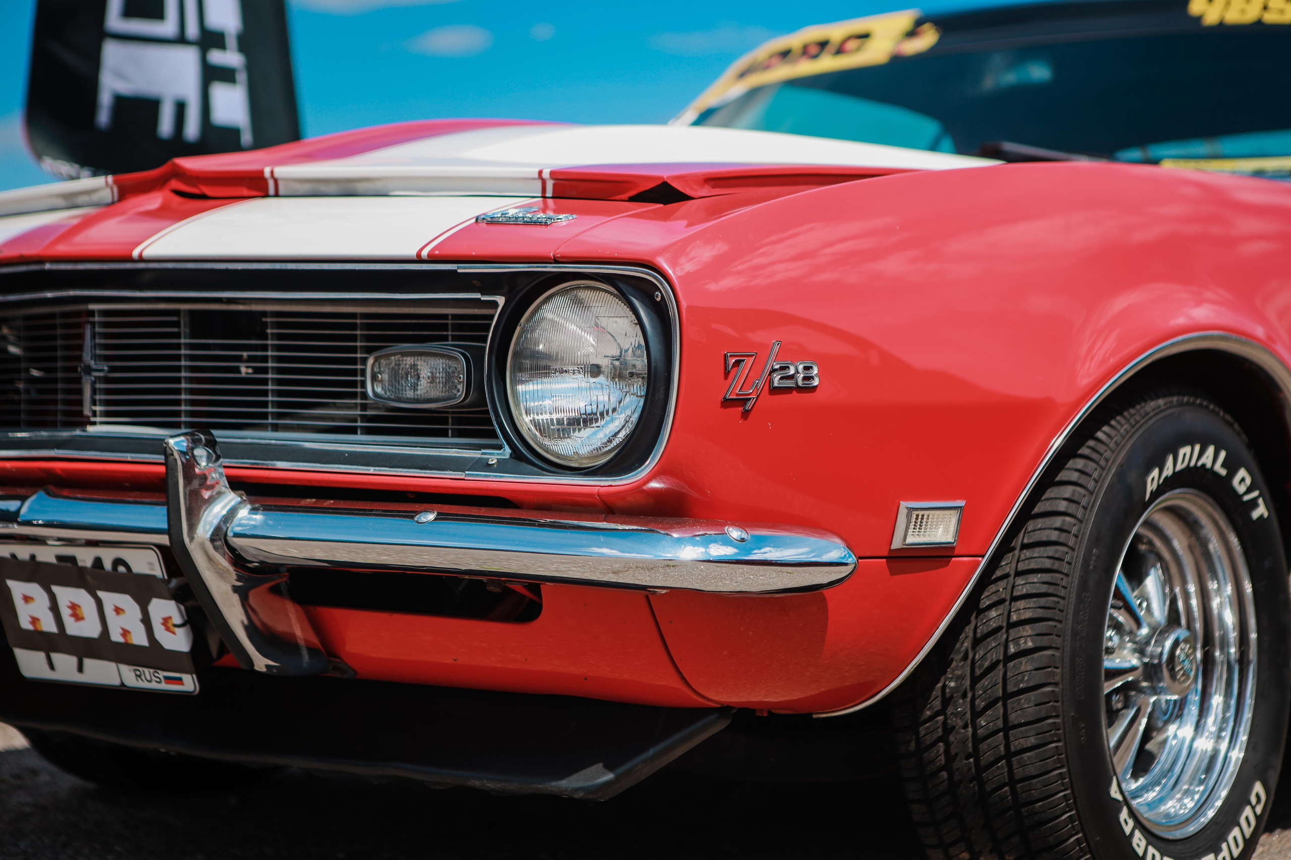 RDRC 2этап (2023). Свадебный фотограф Расторгуев Дмитрий