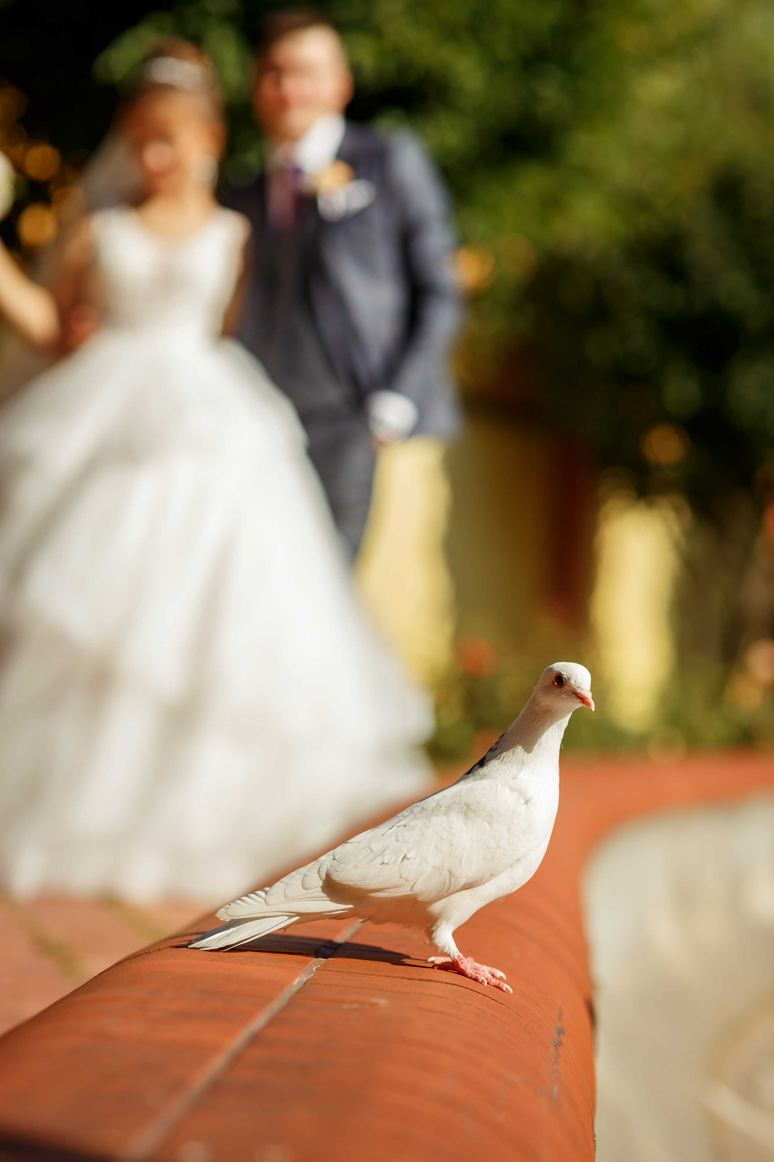Арина и Максим. Свадебный фотограф Расторгуев Дмитрий