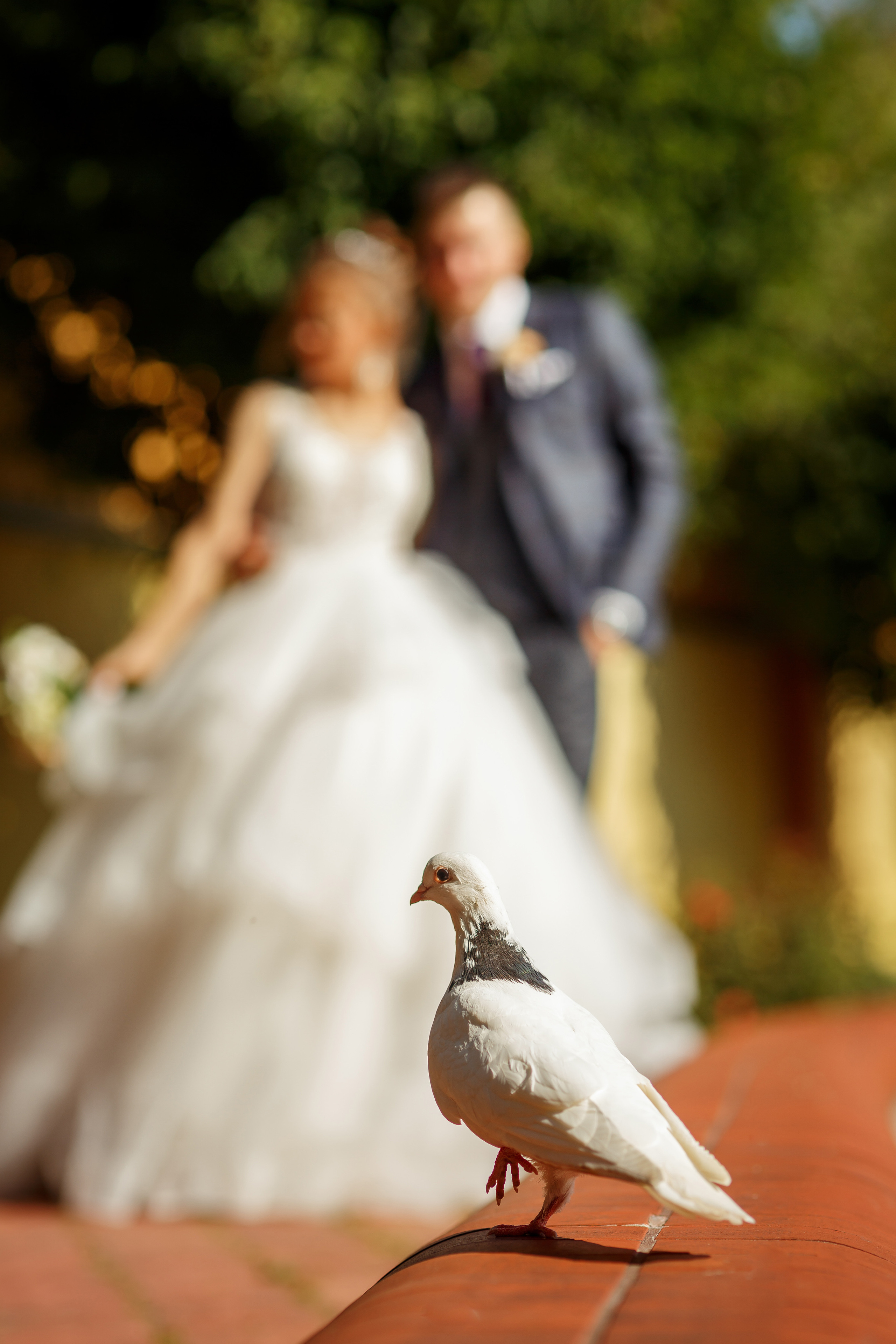 Арина и Максим. Свадебный фотограф Расторгуев Дмитрий