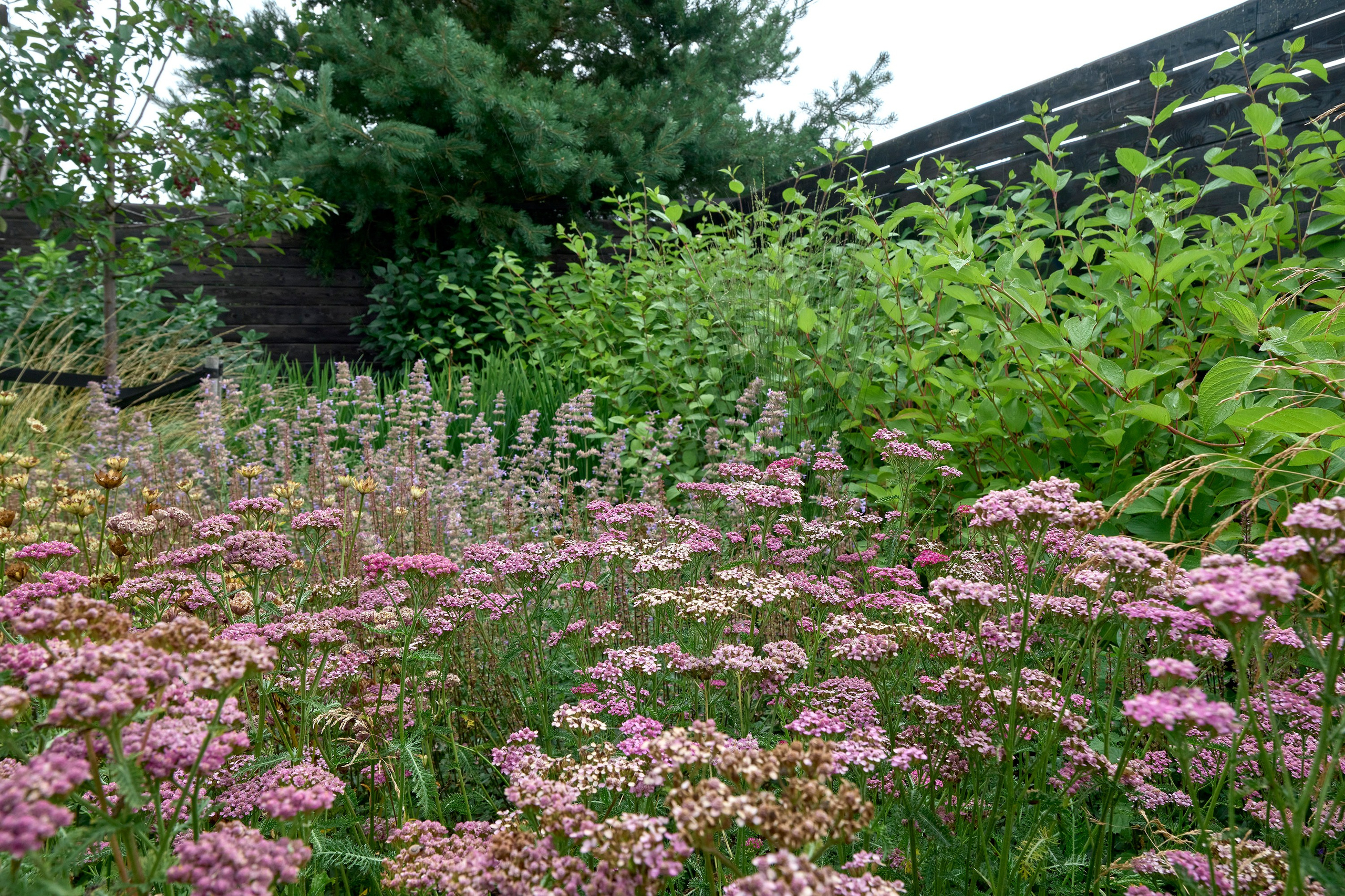Ландшафтный и интерьерный фотограф Наталья Соловьева. Фотосъемка частного сада под Гатчиной для Таисьи Игошиной | interioto