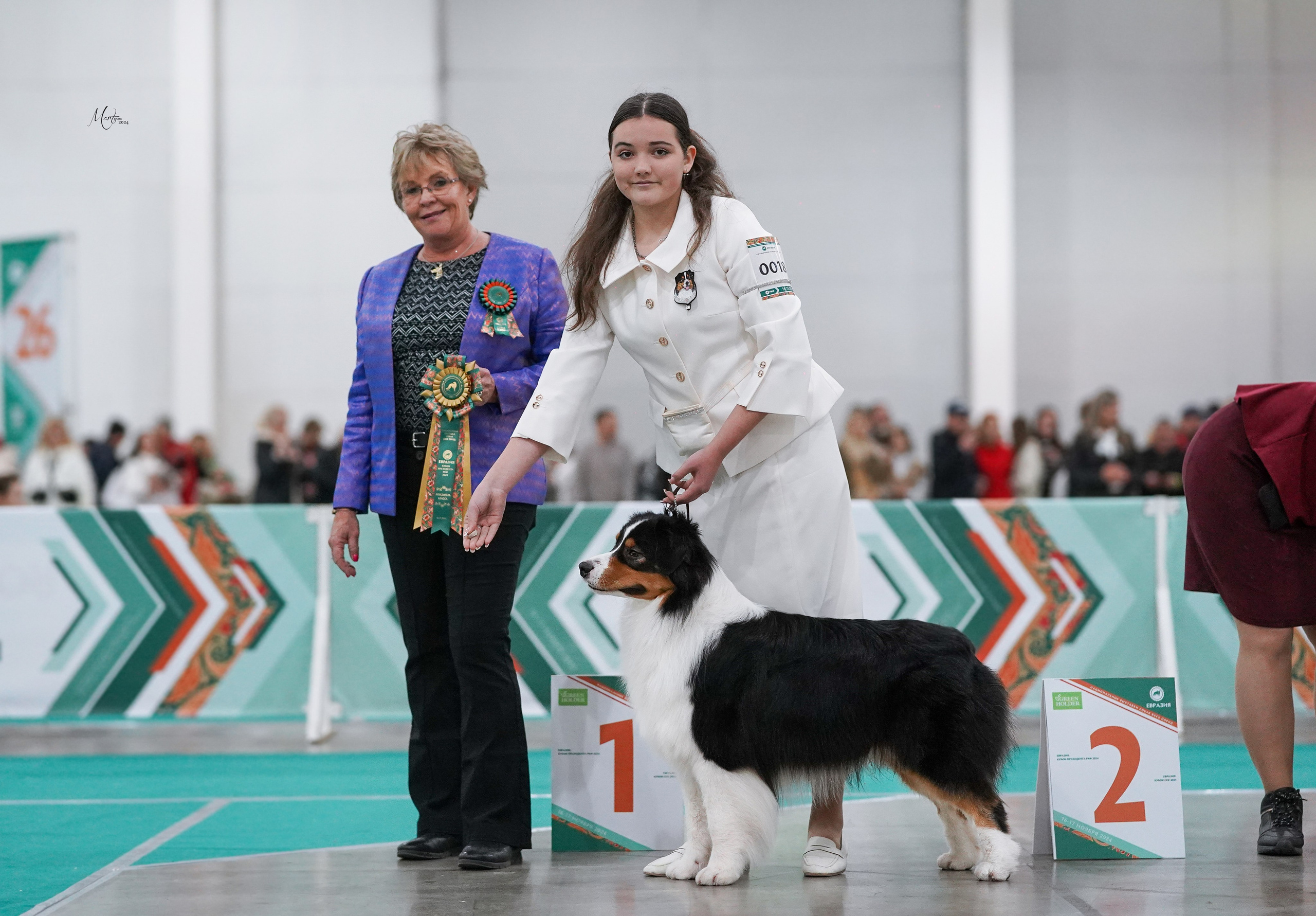 Выставки 2024. Фотограф-анималист в Санкт-Петербурге Яна Мартынова