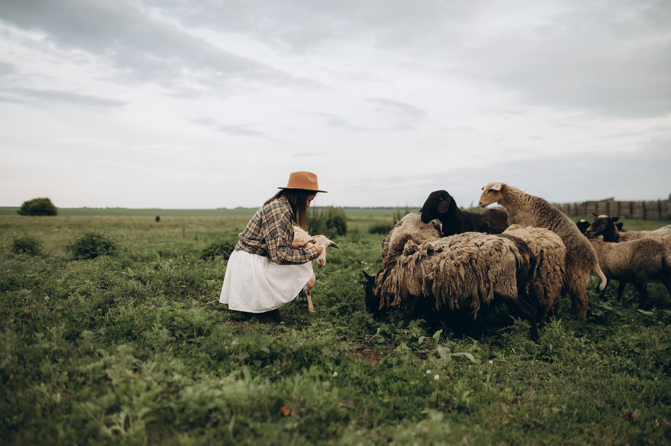 Фотосессия с овечками. Фотограф Быстрова Дарья г. Москва