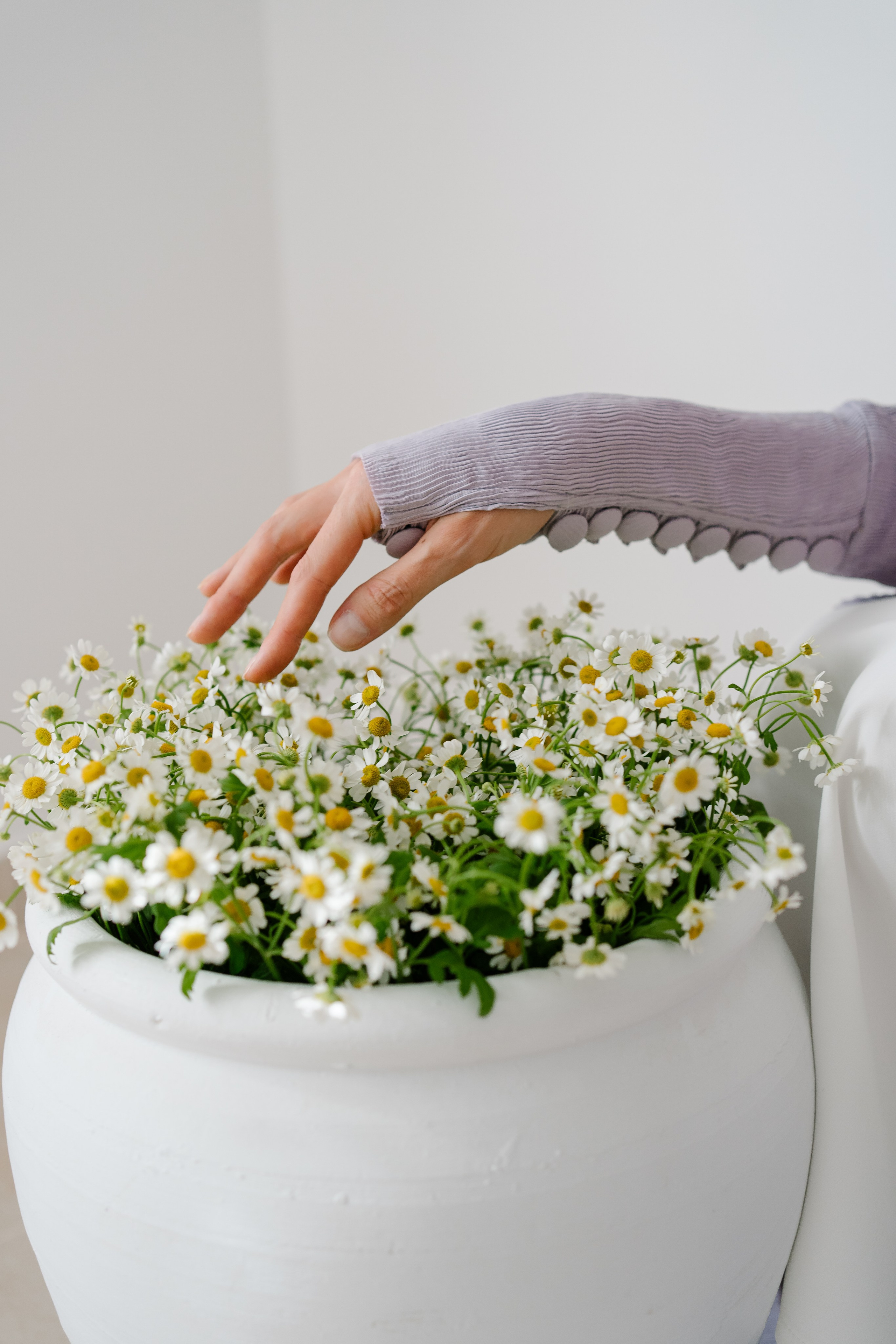 Season. Photographer Yana Kotova