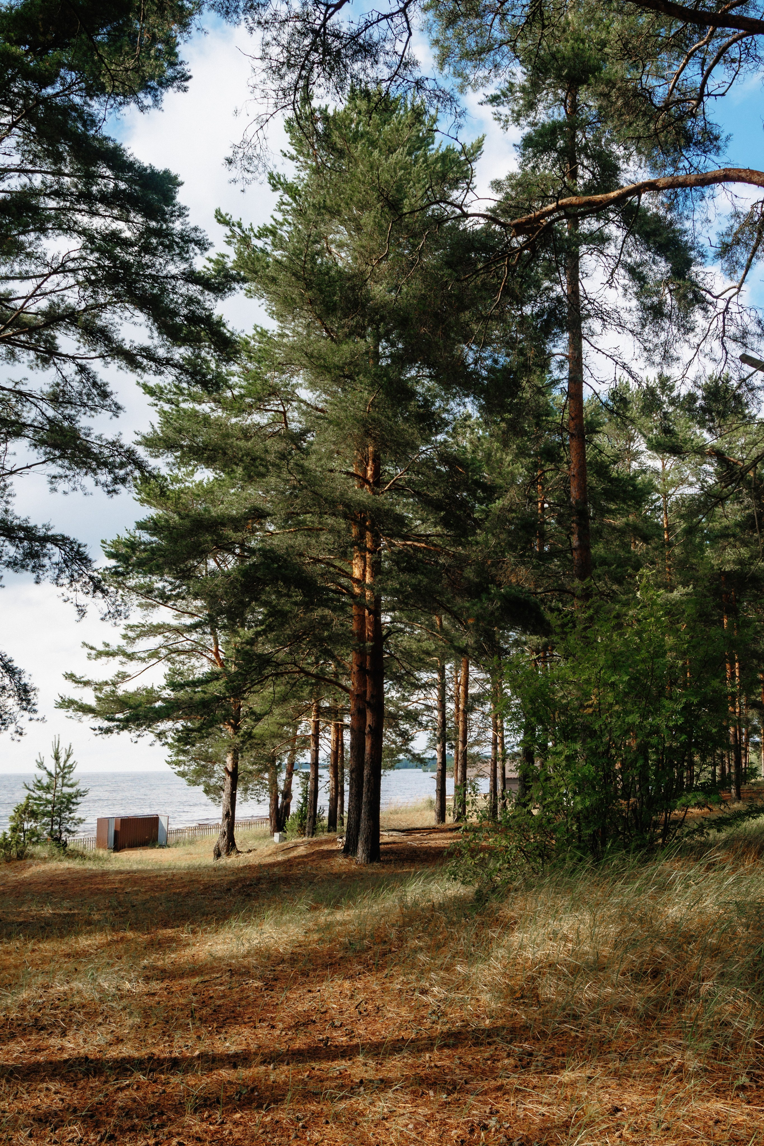 Максим и Ирина на базе Заостровье банкет. Свадебный и семейный фотограф в г. Волхов Алексей Кочерыжкин