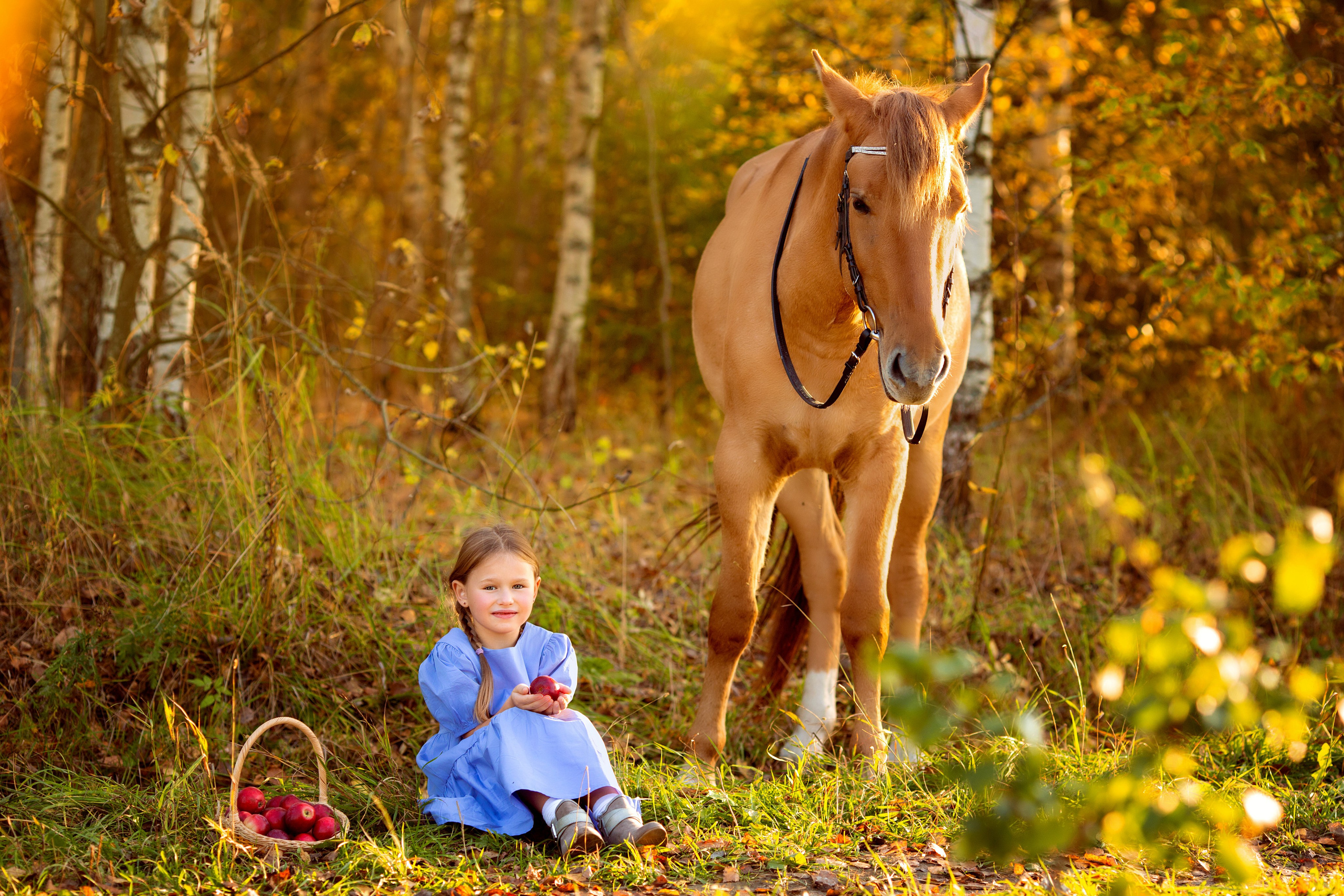 Детская, семейная фотосъемка. Фотосъёмка праздников. Фотограф Антонина Свешникова. ВЫПУСКНЫЕ ФОТОКНИГИ для детских садов и школ. Москва, Владимир