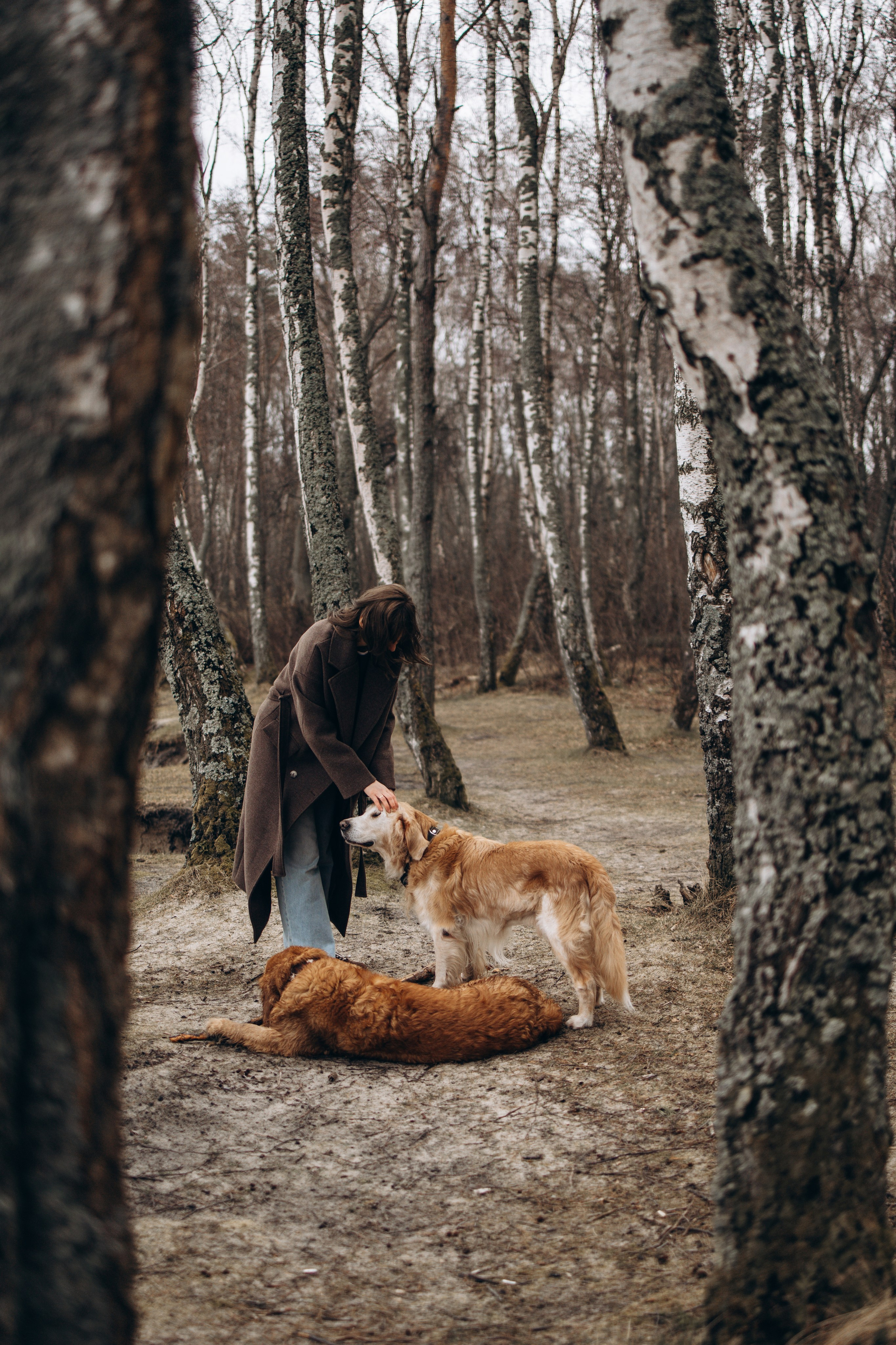 Юля и Максик. Фотограф — Анималист | Санкт-Петербург