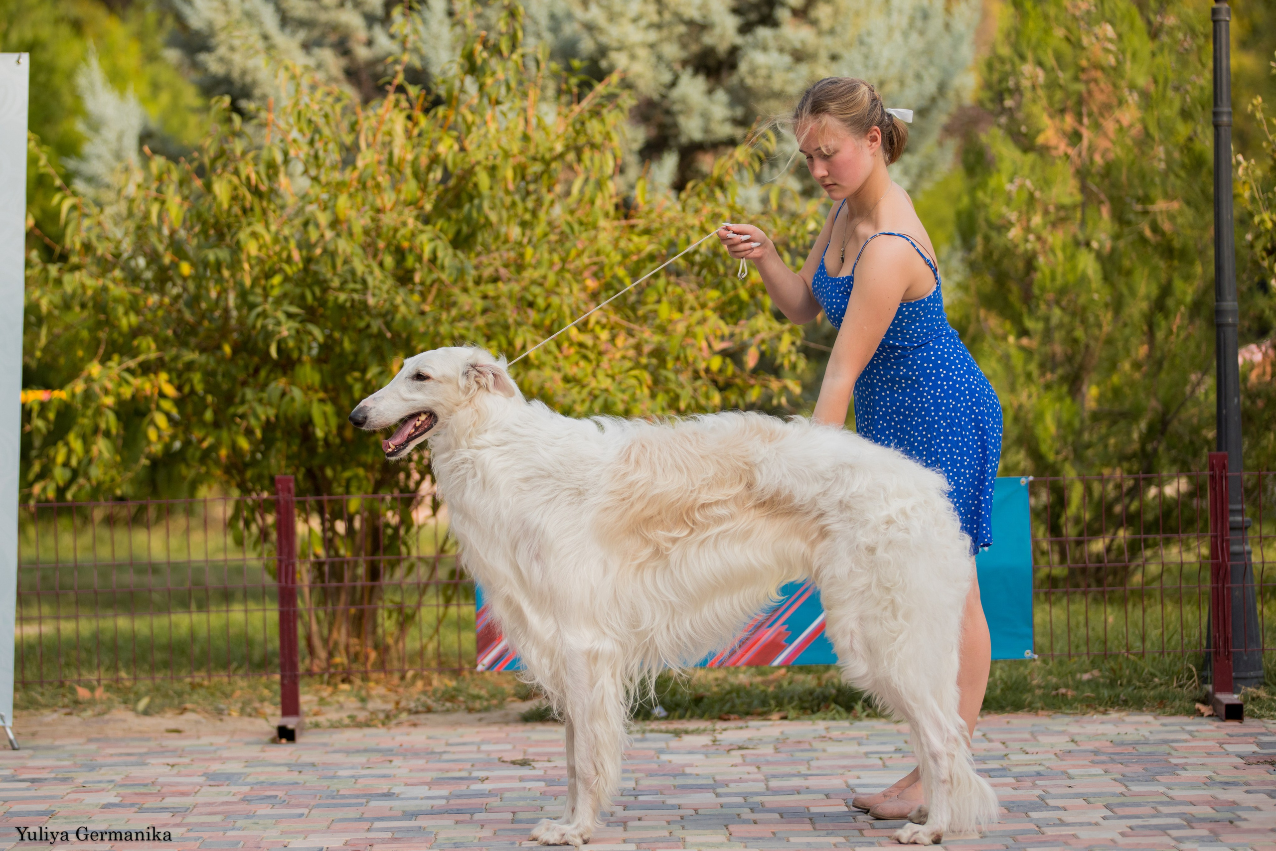 Ташкент 6-8.10.2023 + Алматы 14-15.10.2023. Фотограф-анималист Юлия Германика