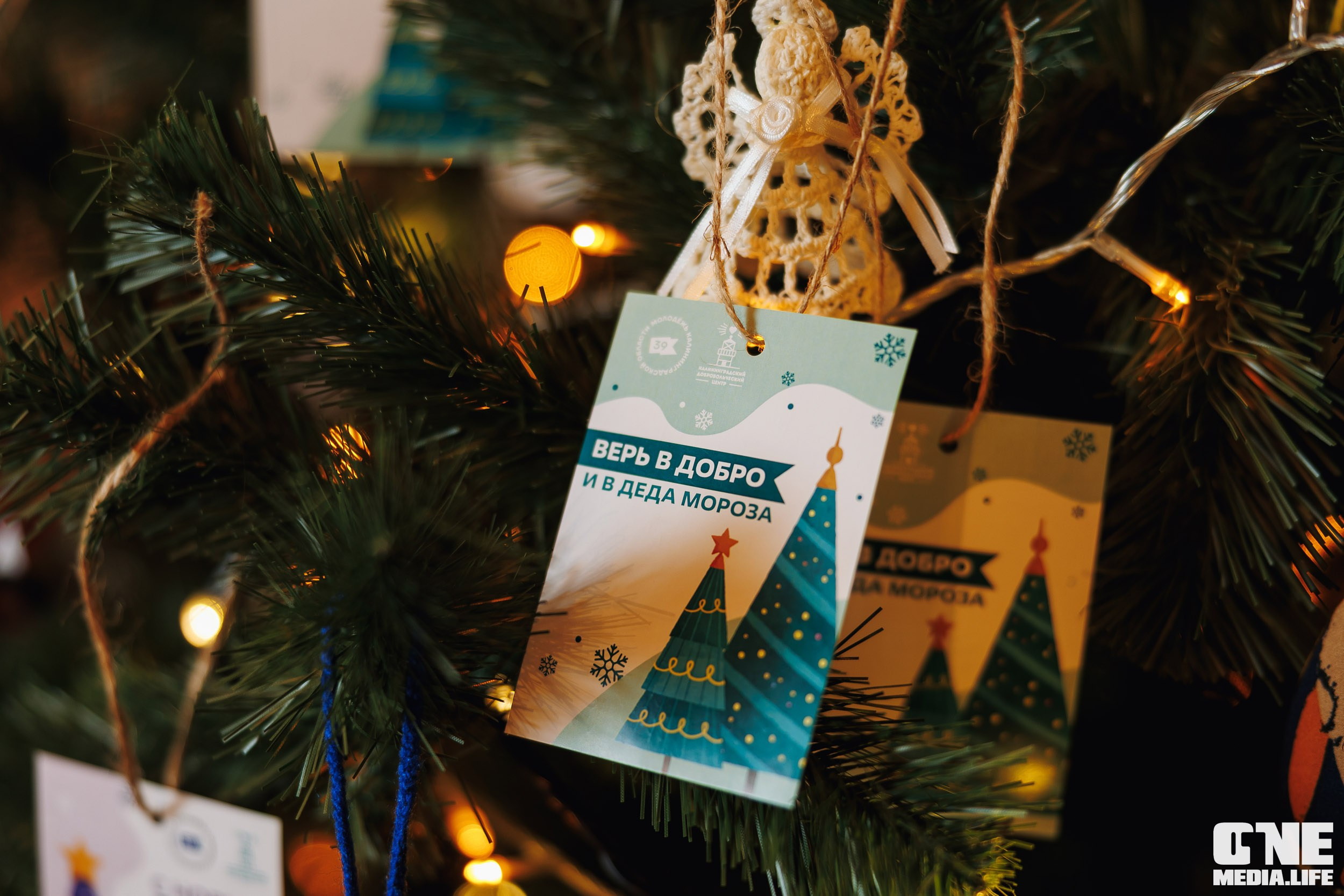 Фоторепортаж с XI Областного добровольческого форума. One Media Life: фоторепортажи, фотоотчеты с мероприятий и заведений