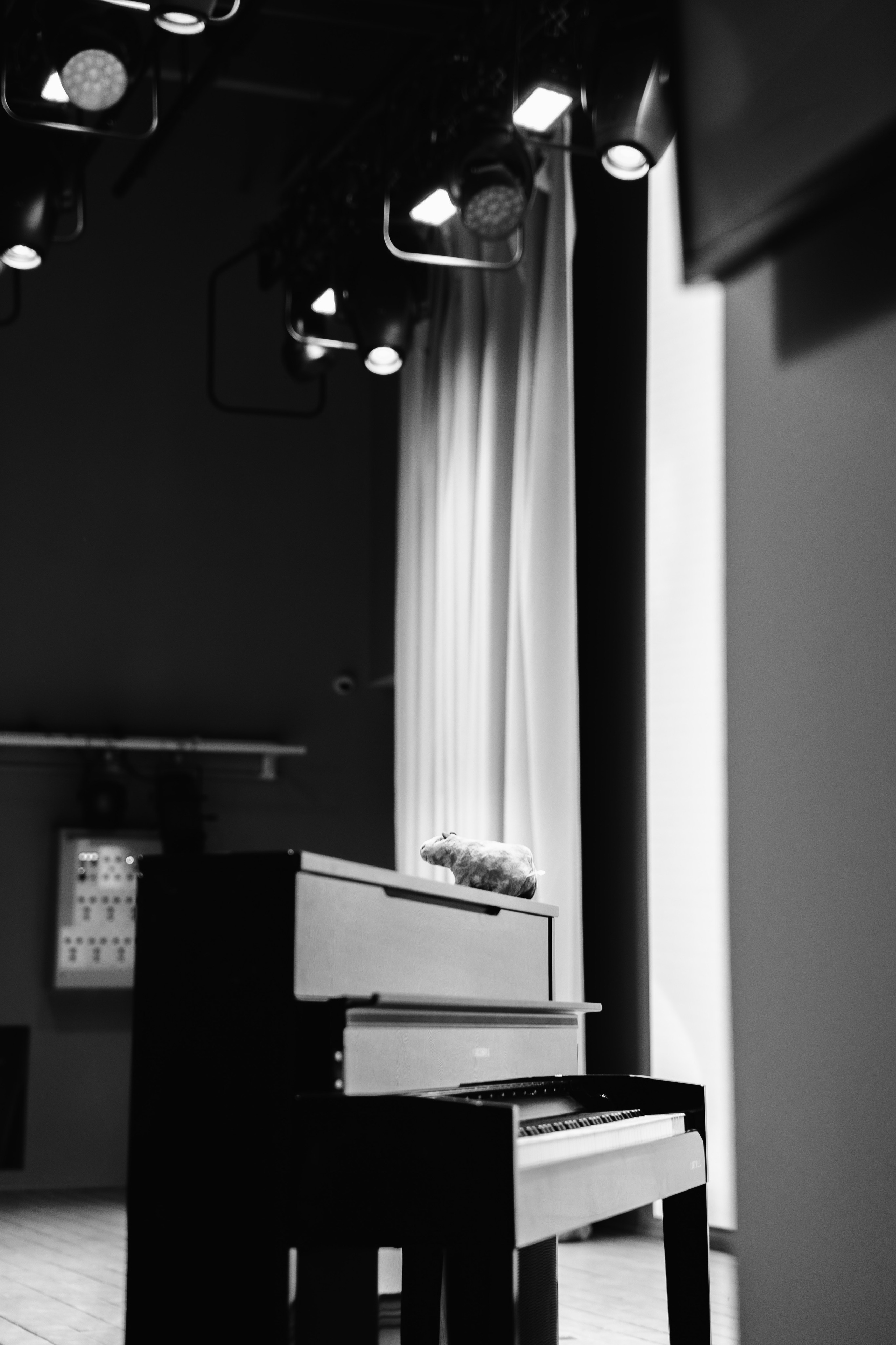 Кружок хора — отчетный концерт в НКЦ / 2023. Саша Копылов, фотограф в Казани