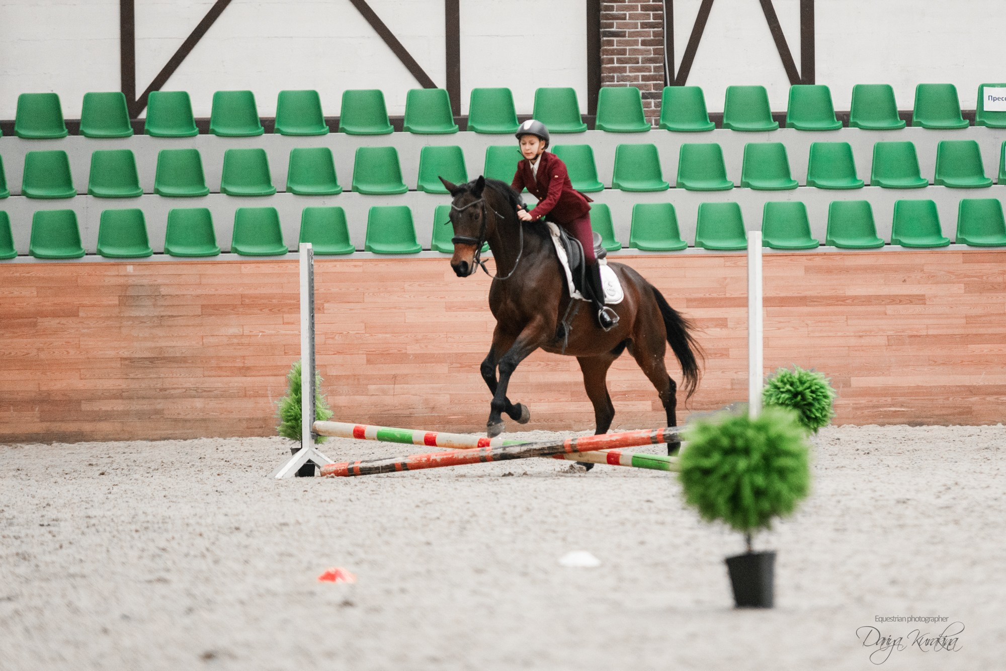 8-я международная выставка Конная Россия. Конный фотограф Куракина Дарья • Фотосессии с лошадьми