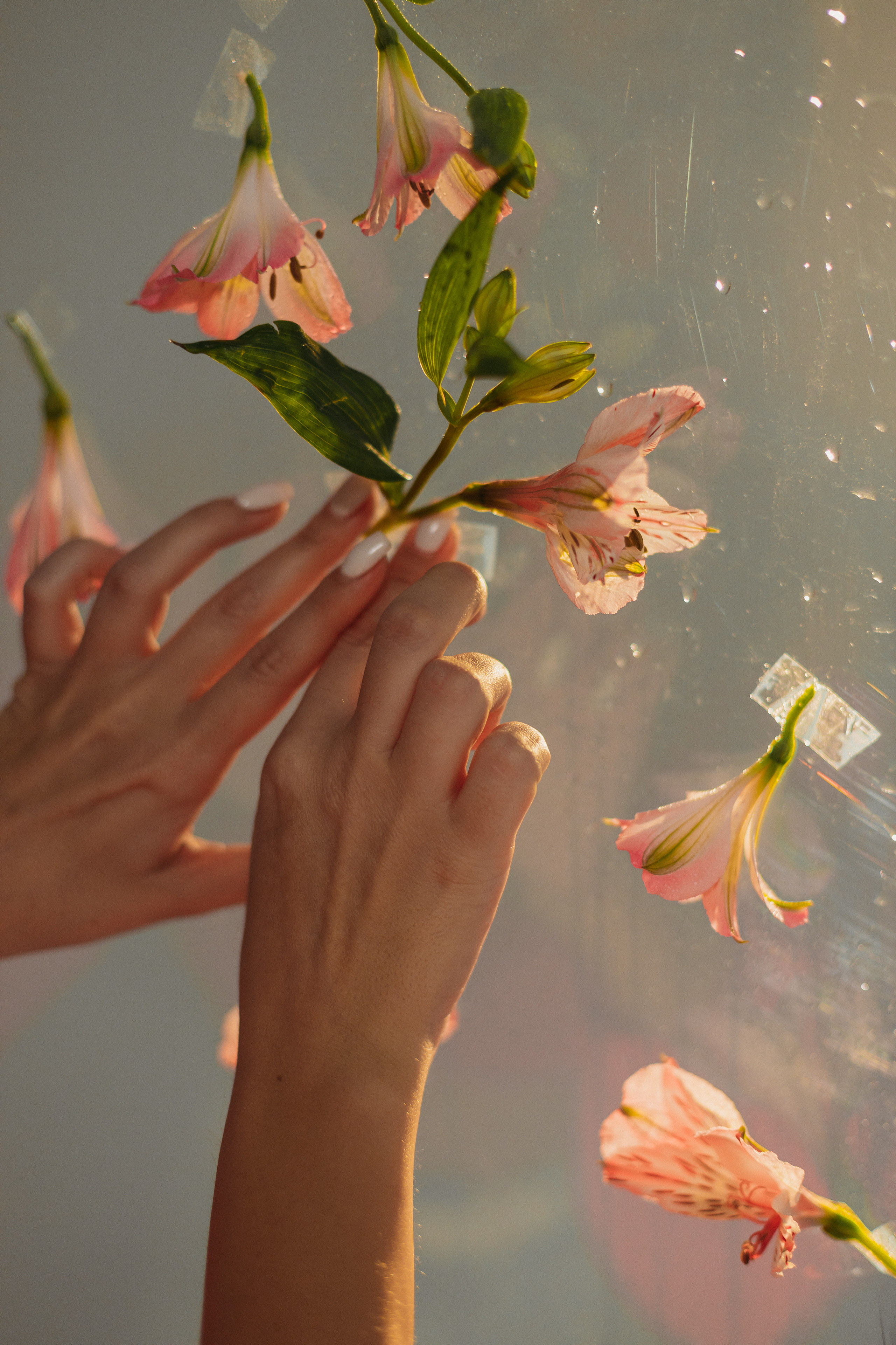 Юля. Фотограф Таганрог Любимая Надя