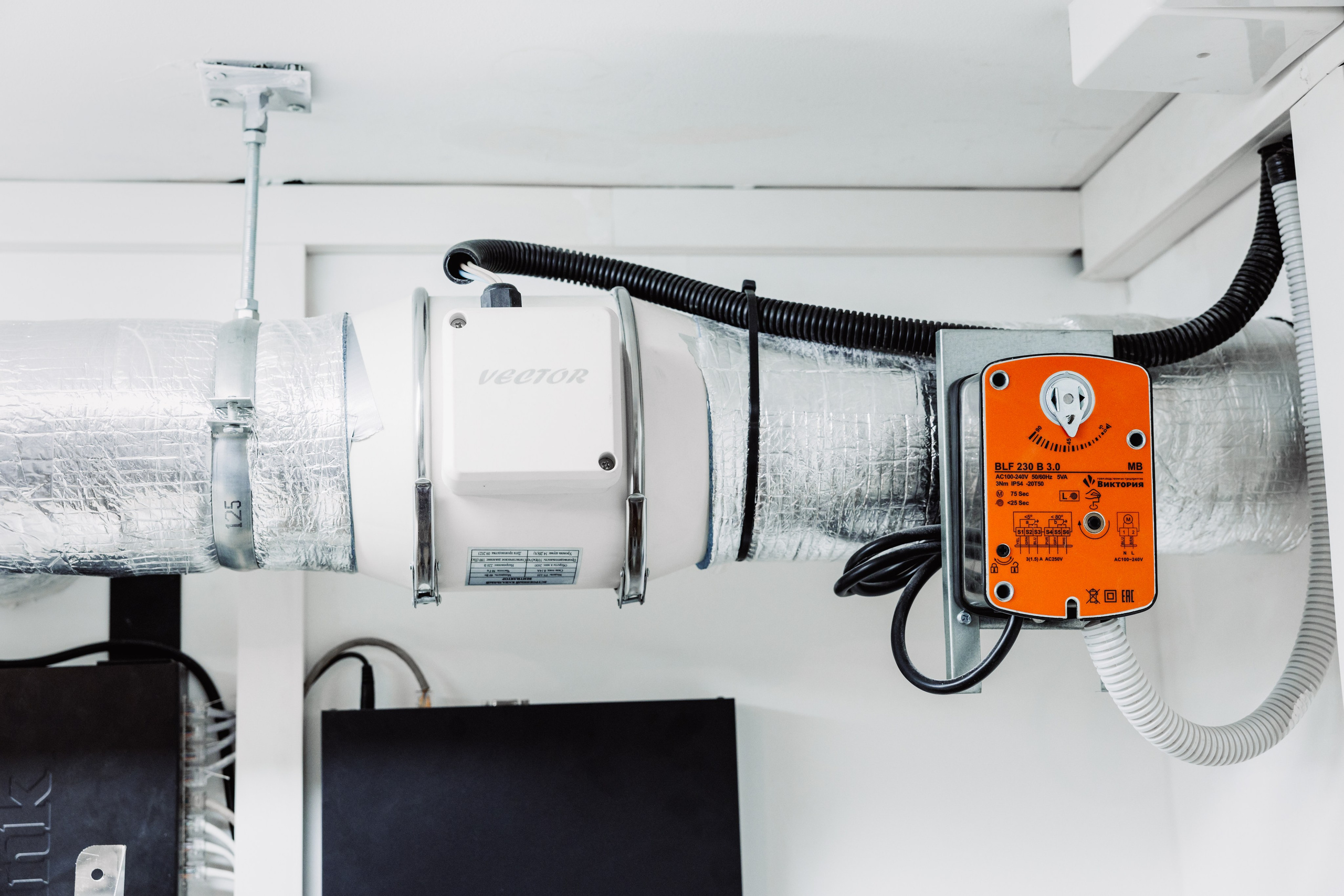 ЧЕБ И РЕК | РИО. ФОТОГРАФ ИРИНА ШАМАТАВА