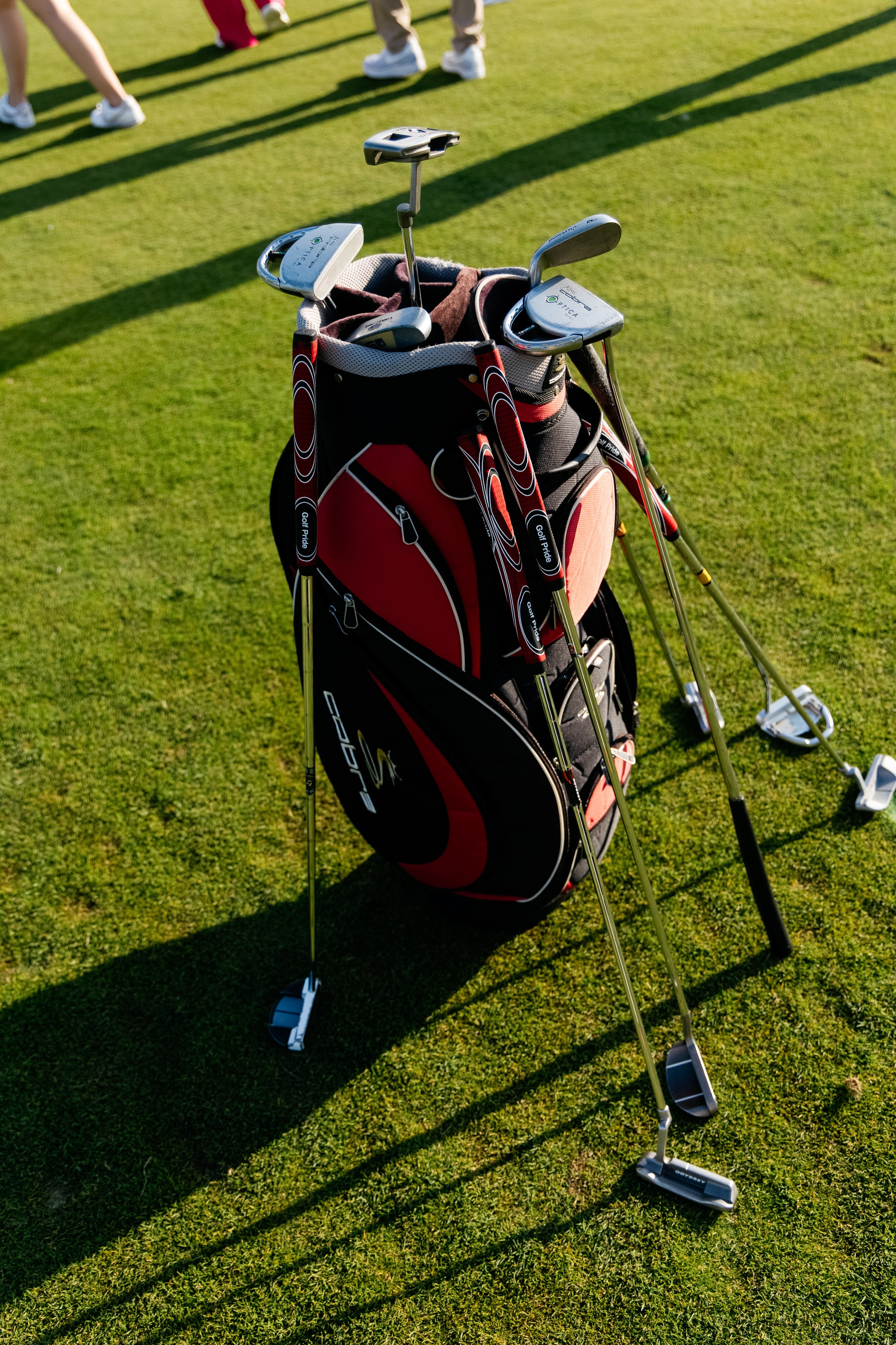 Целеево. Игра в гольф. Фотограф в Москве Анастасия Курлович