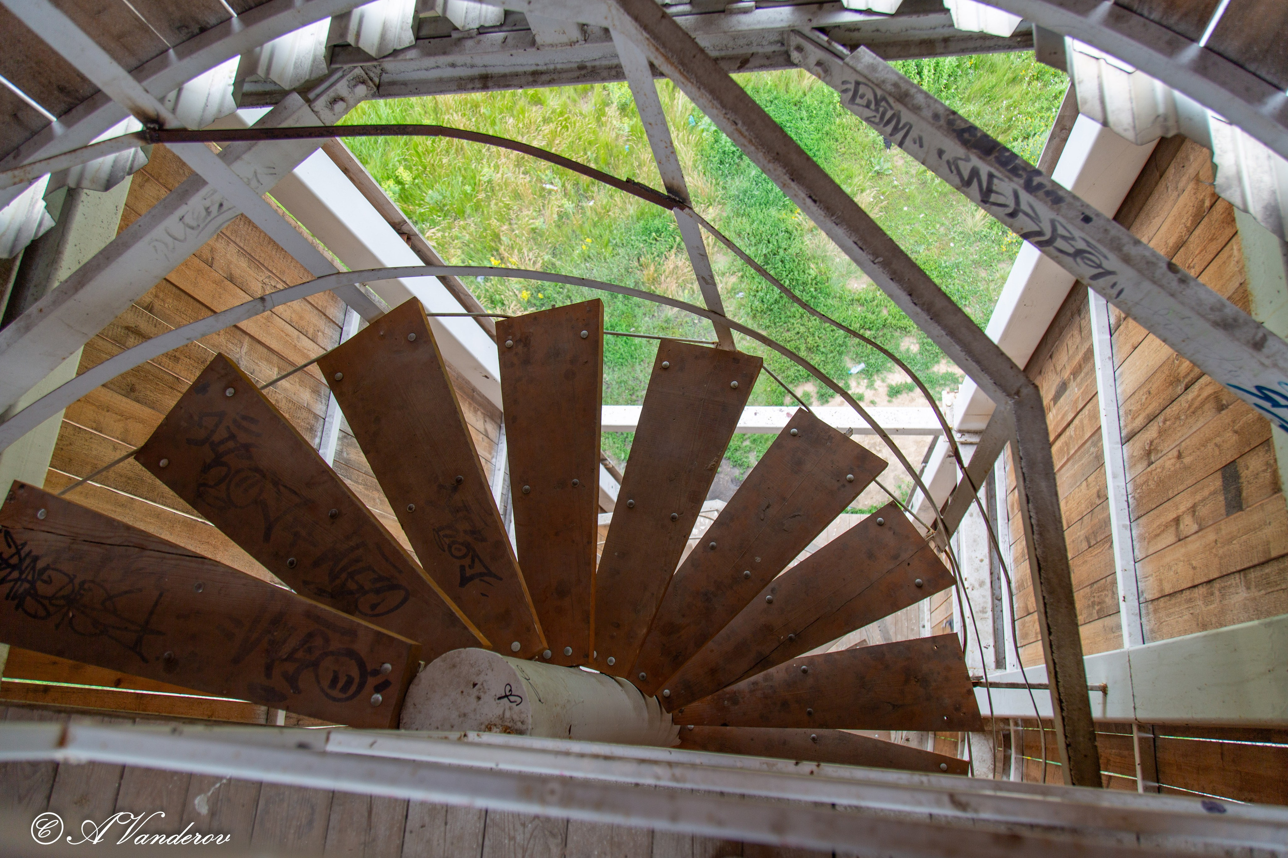 Калачинск 07.07.2024. Фотограф Омск | Александр Вандеров