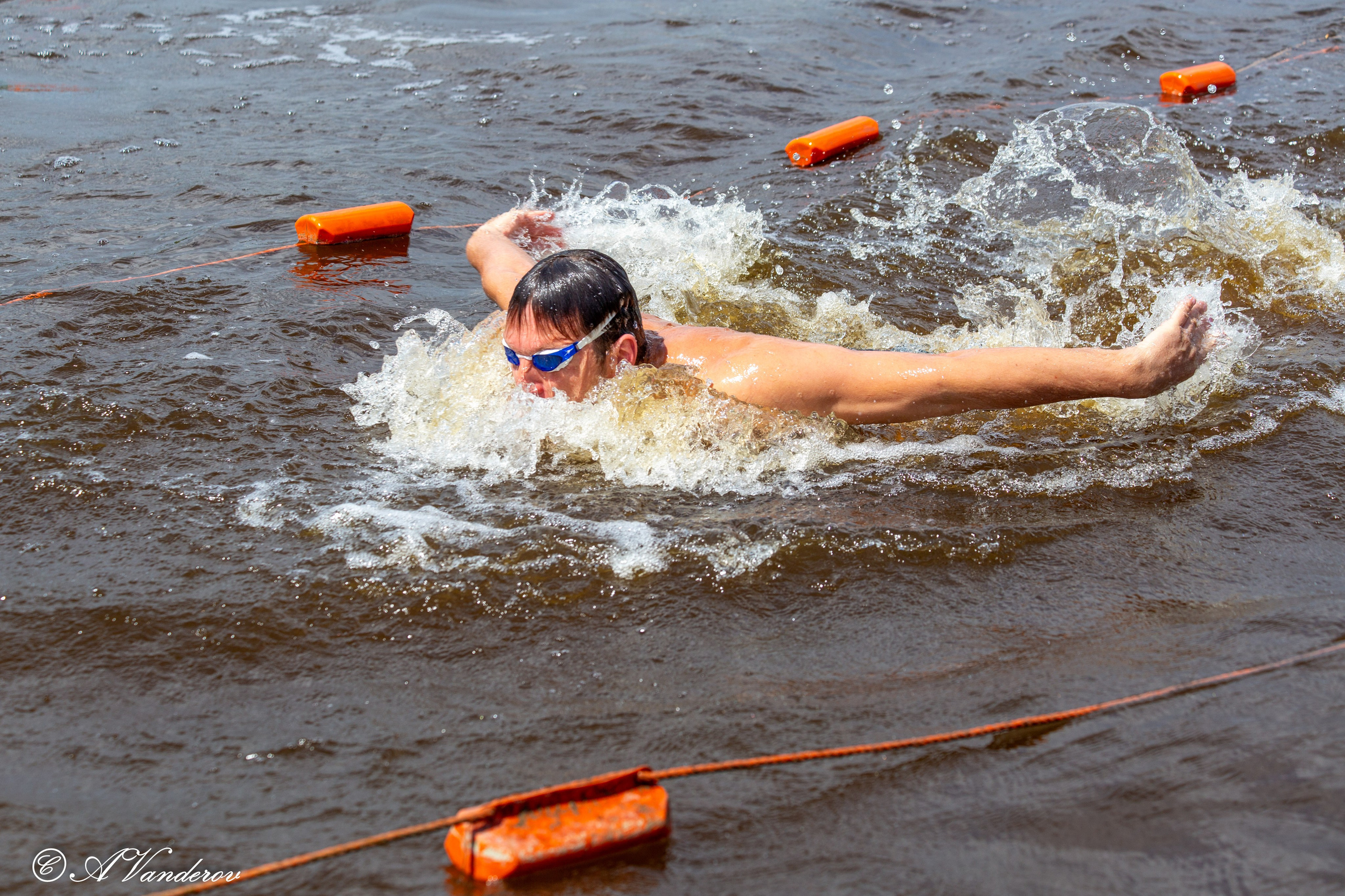 Заплыв 02.06.2024. Фотограф Омск | Александр Вандеров