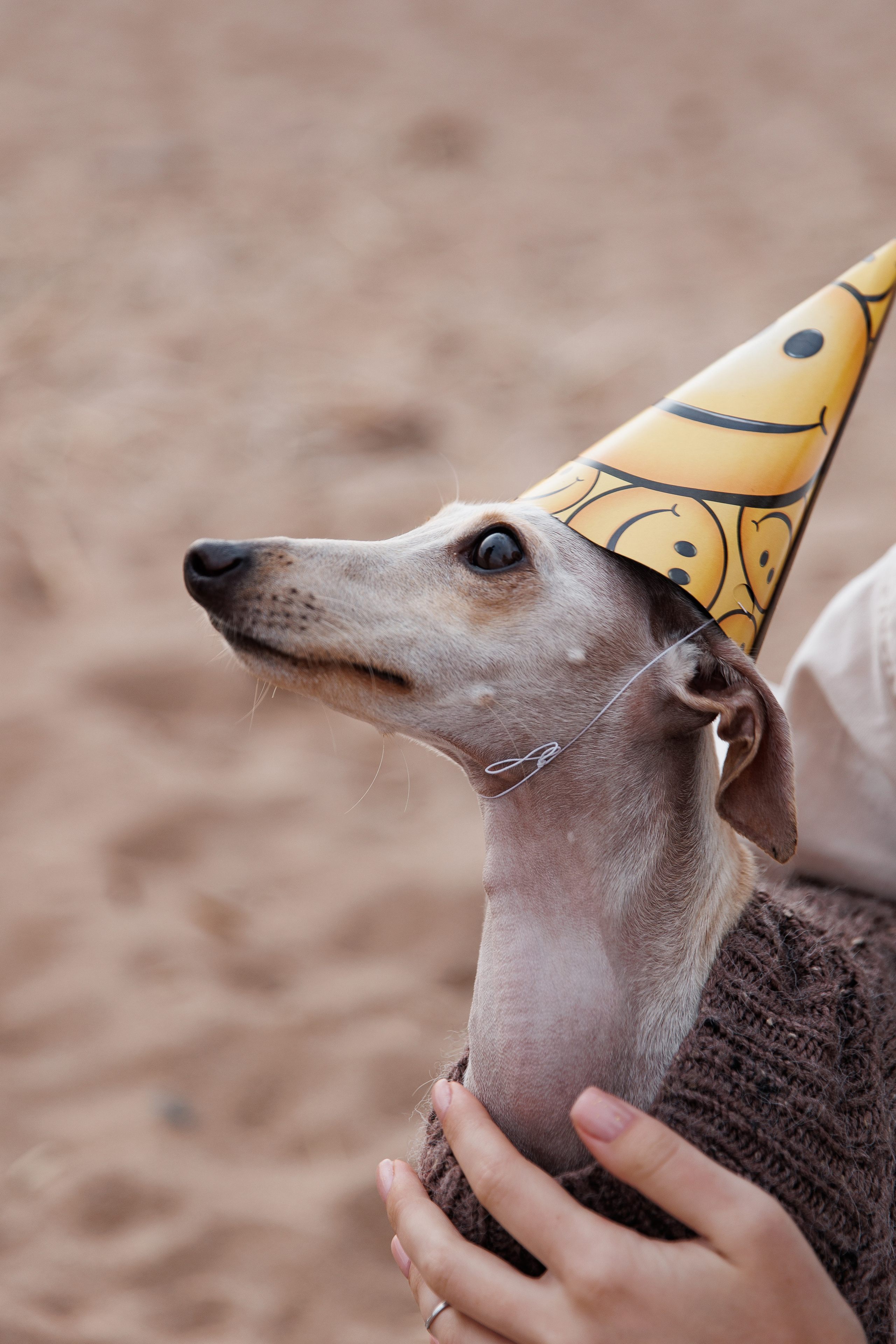Joy, Egor, Vika. Свадебный фотограф в Санкт-Петербурге, Москве, Европе и по всему миру