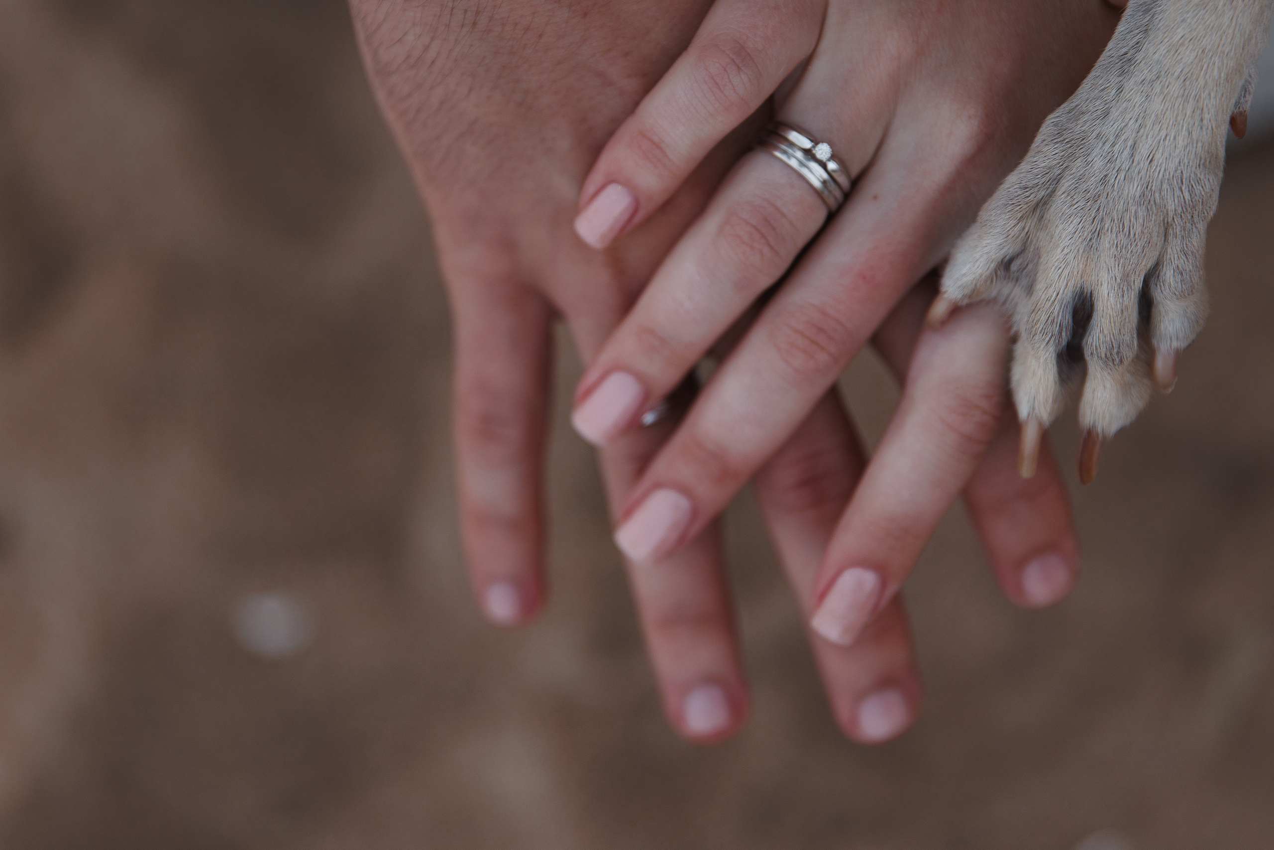 Joy, Egor, Vika. Свадебный фотограф в Санкт-Петербурге, Москве, Европе и по всему миру