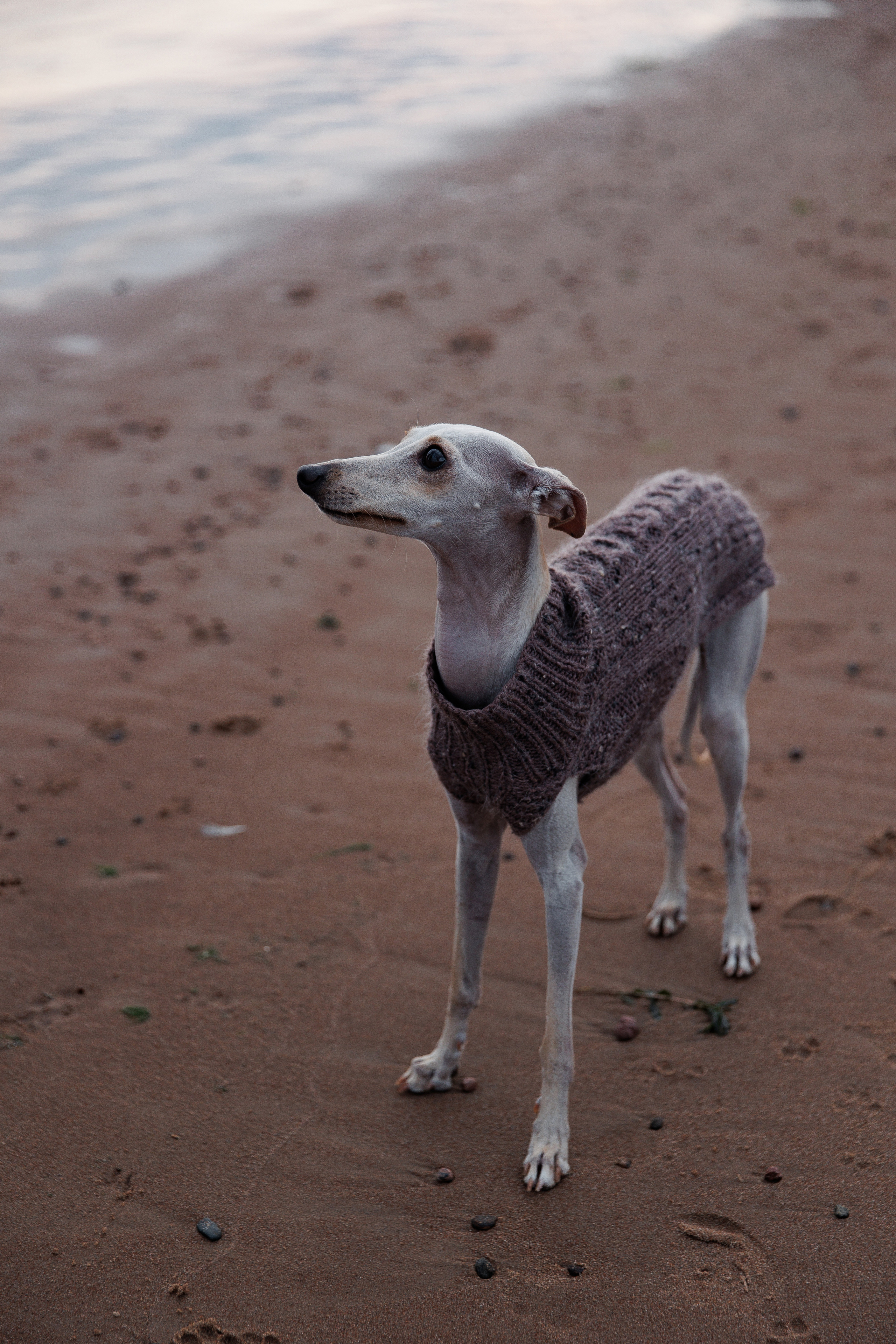 Joy, Egor, Vika. Свадебный фотограф в Санкт-Петербурге, Москве, Европе и по всему миру