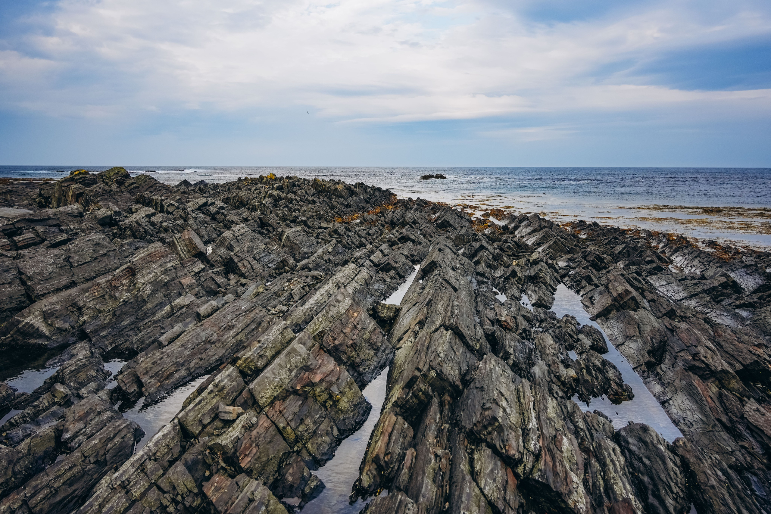 СЕВЕР. Event фотограф Степанова Александра