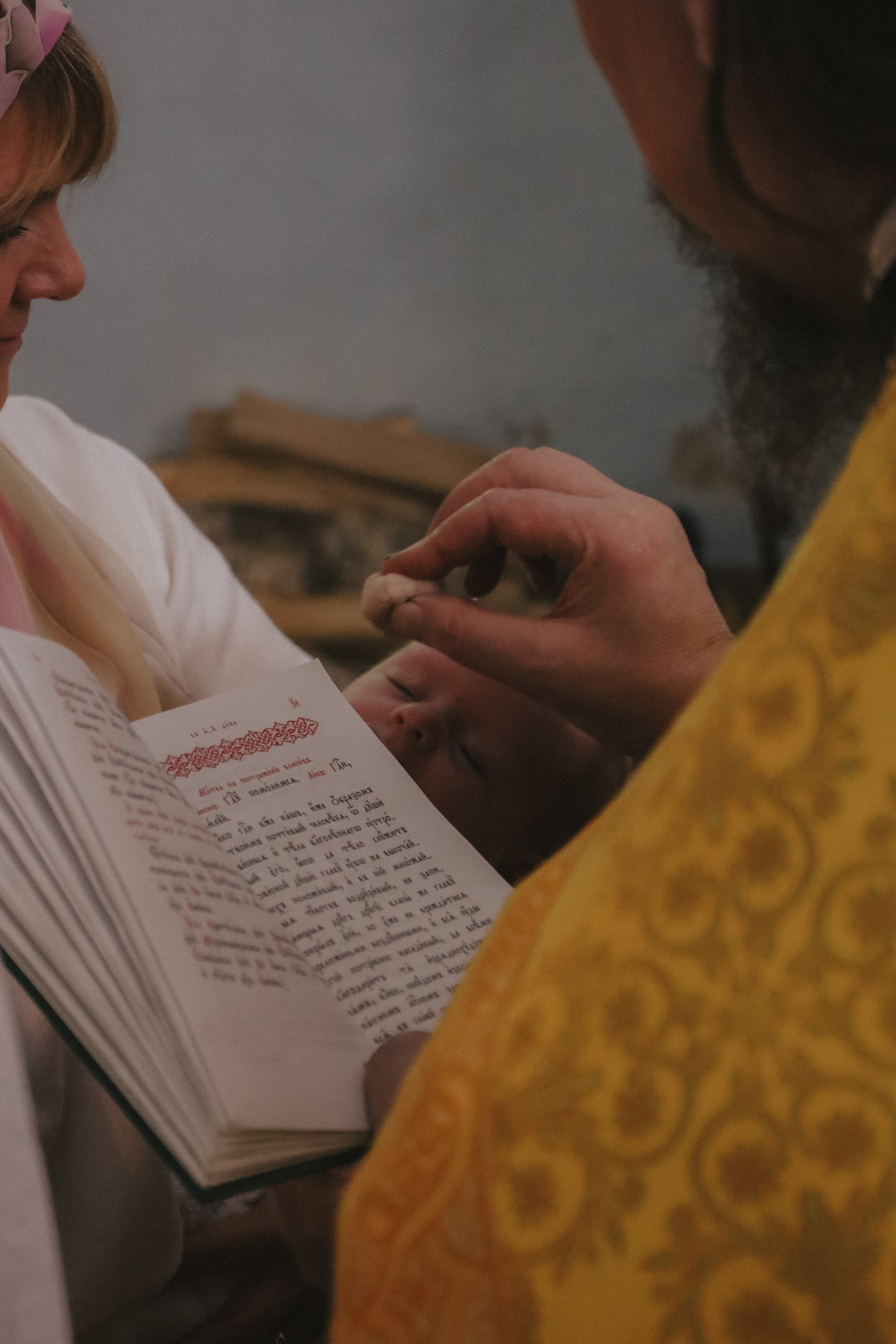 Алиса. Никонорова Анастасия