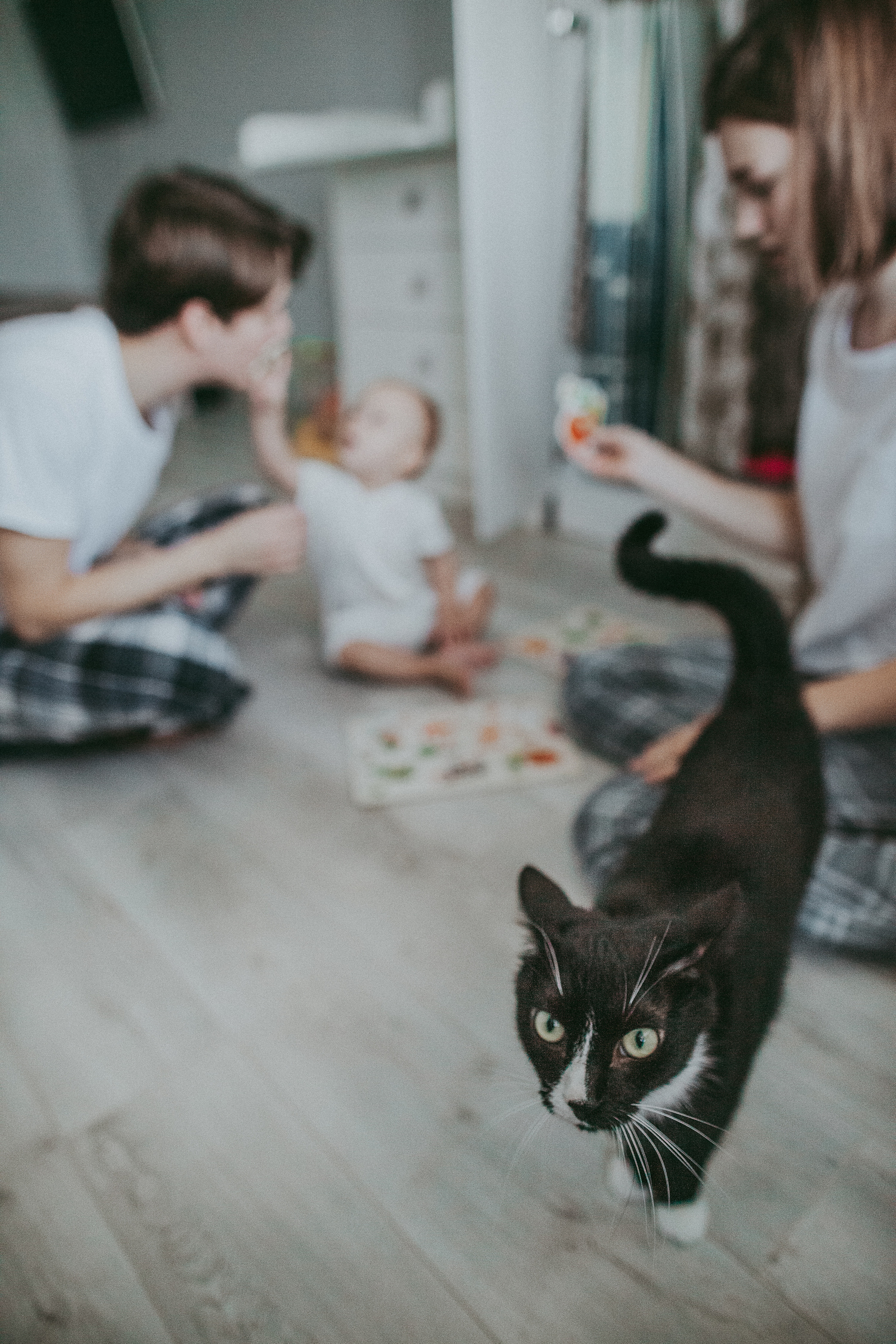 Кирюша. Семейный фотограф в Краснодаре Анна Пасик