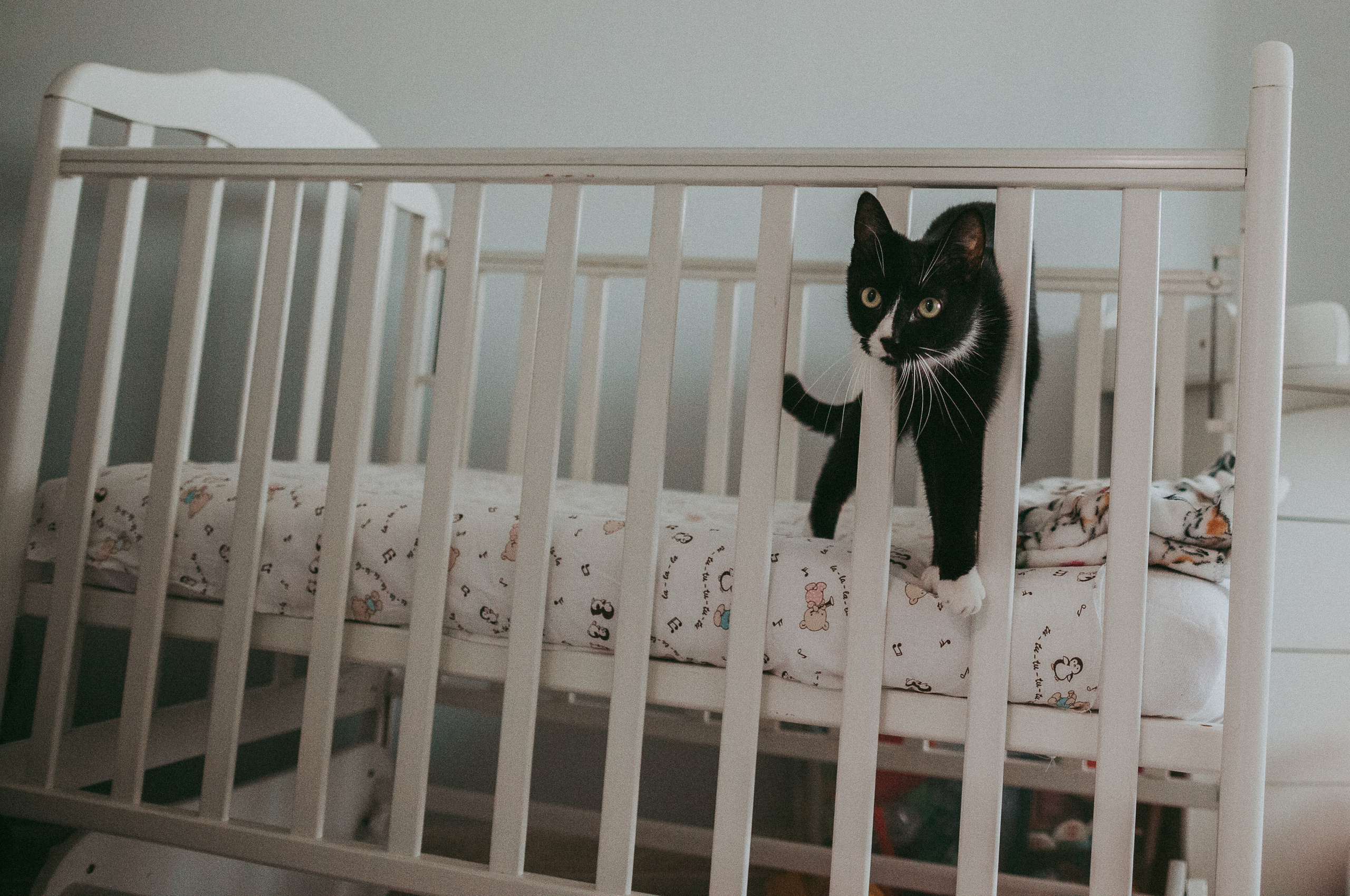 Кирюша. Семейный фотограф в Краснодаре Анна Пасик