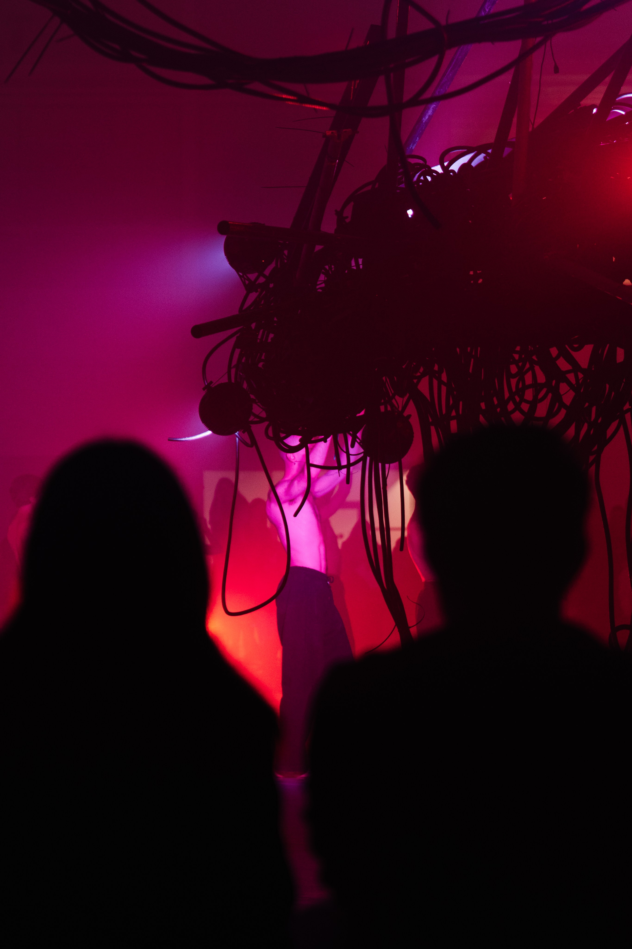 PERFORMA, The Hour of the Horse. @tomrus: Рустам Шагиморданов — фотограф