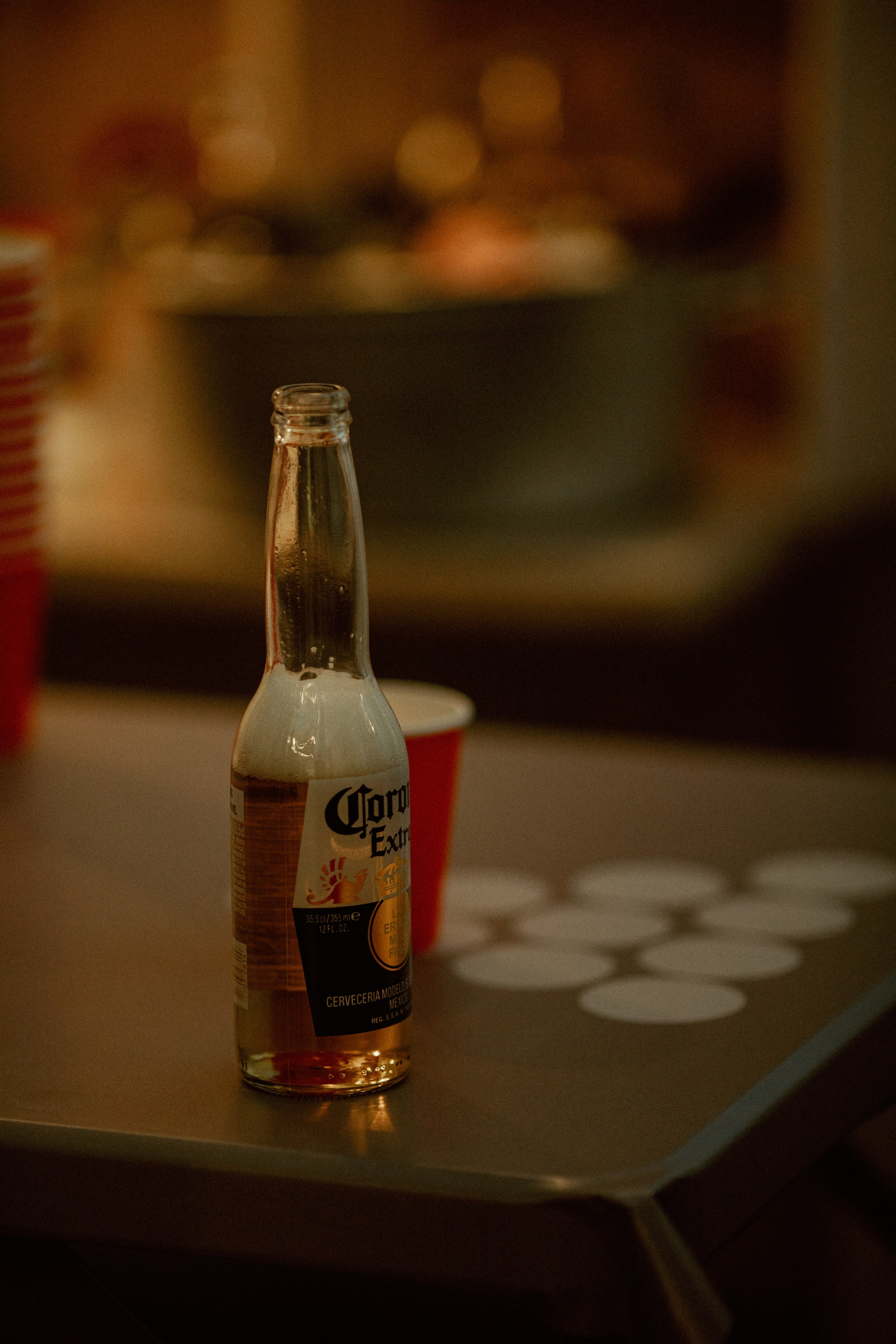 Watermelon party. Свадебный и репортажный фотограф