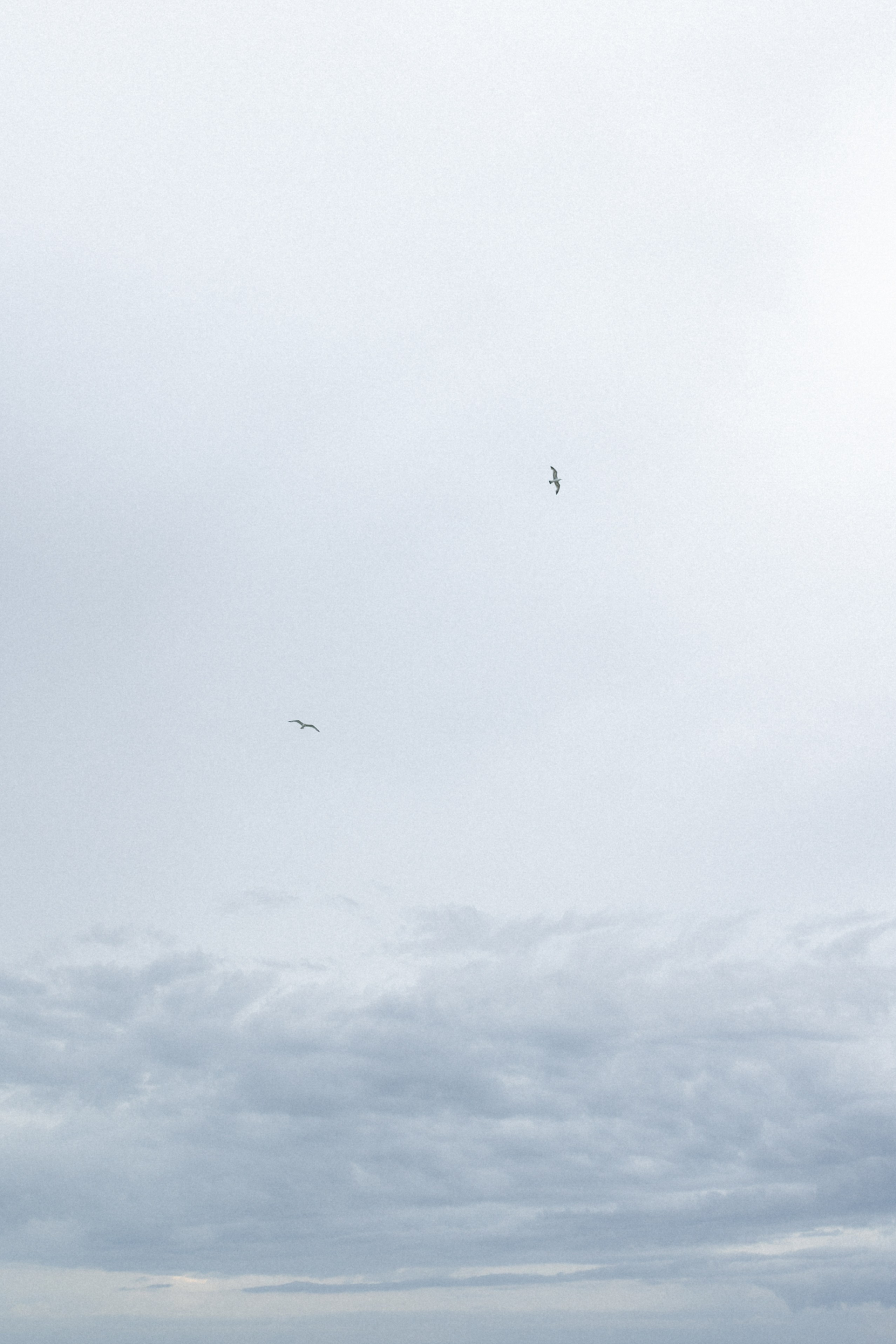 Моё море. Свадебный фотограф Воронеж Москва СПБ