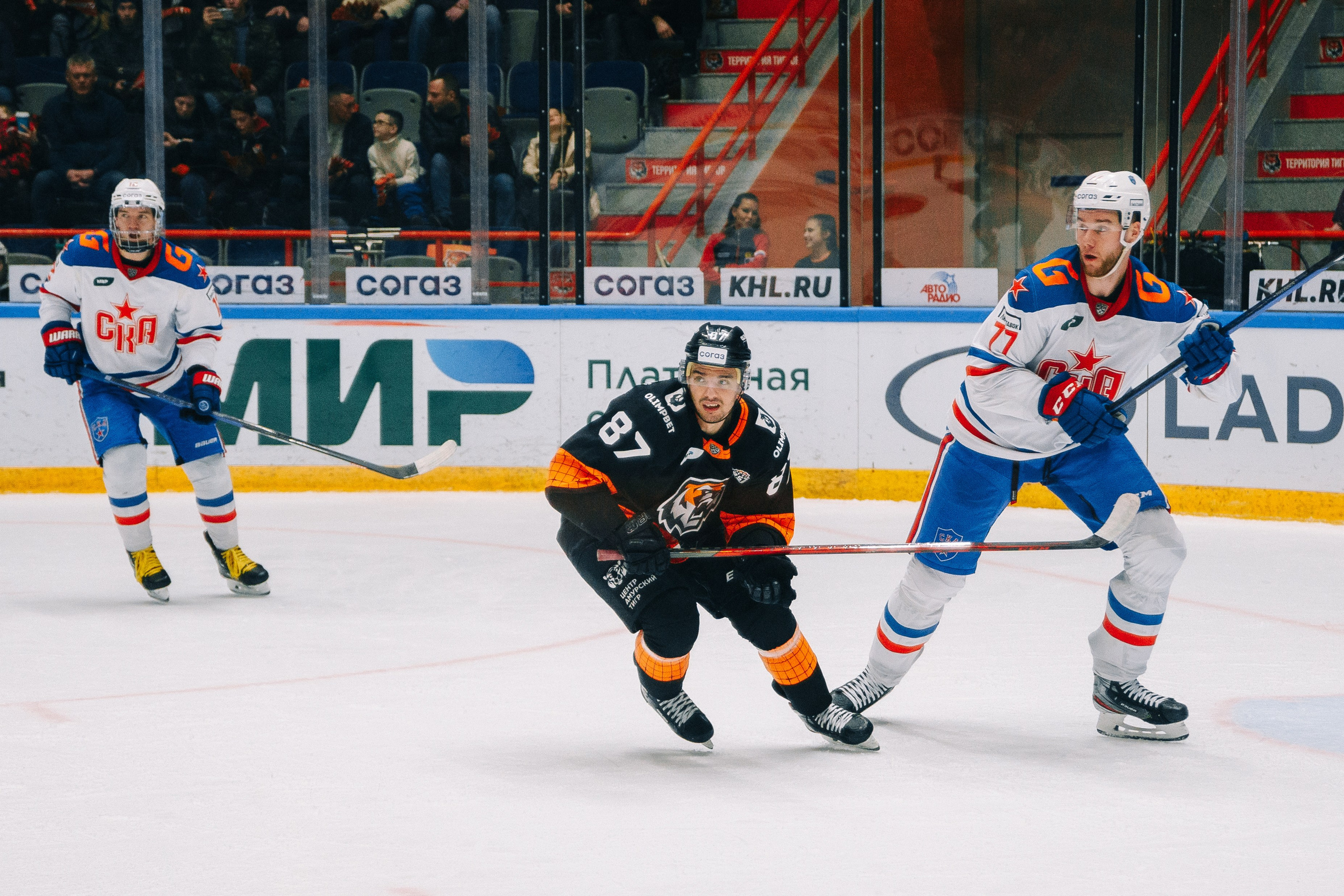 Олимбет и Амур. Фотограф в Хабаровске Швендых Рудольф