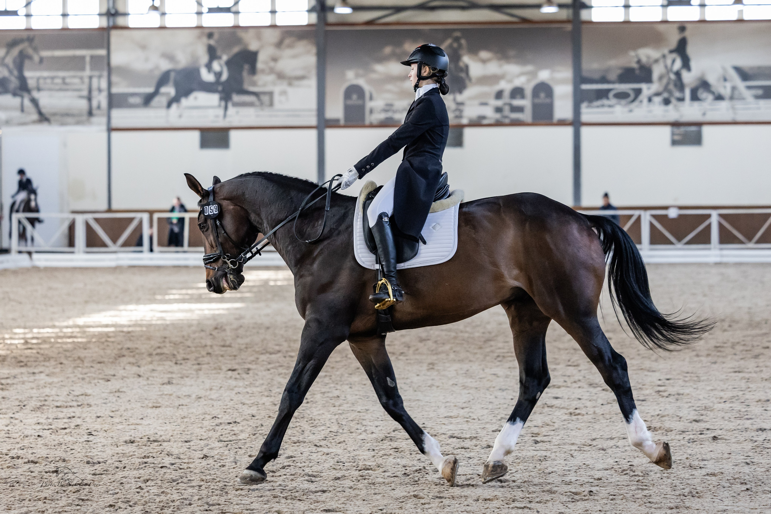 Фоторепортаж с конных соревнований. Фотограф Анималист Наталья Корс Екатеринбург