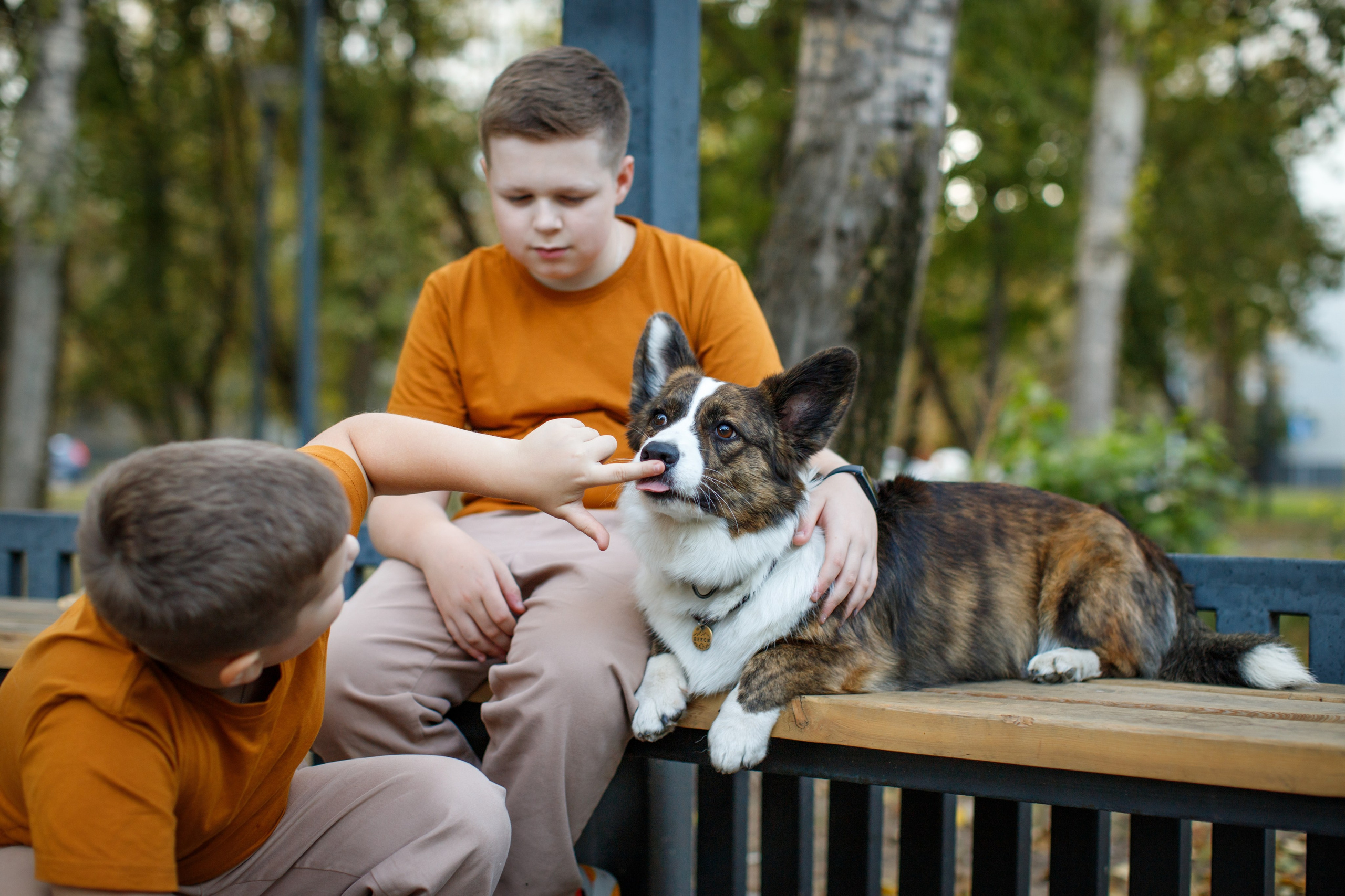 На пикнике. Детский и семейный фотограф Мария Киселёва. Москва
