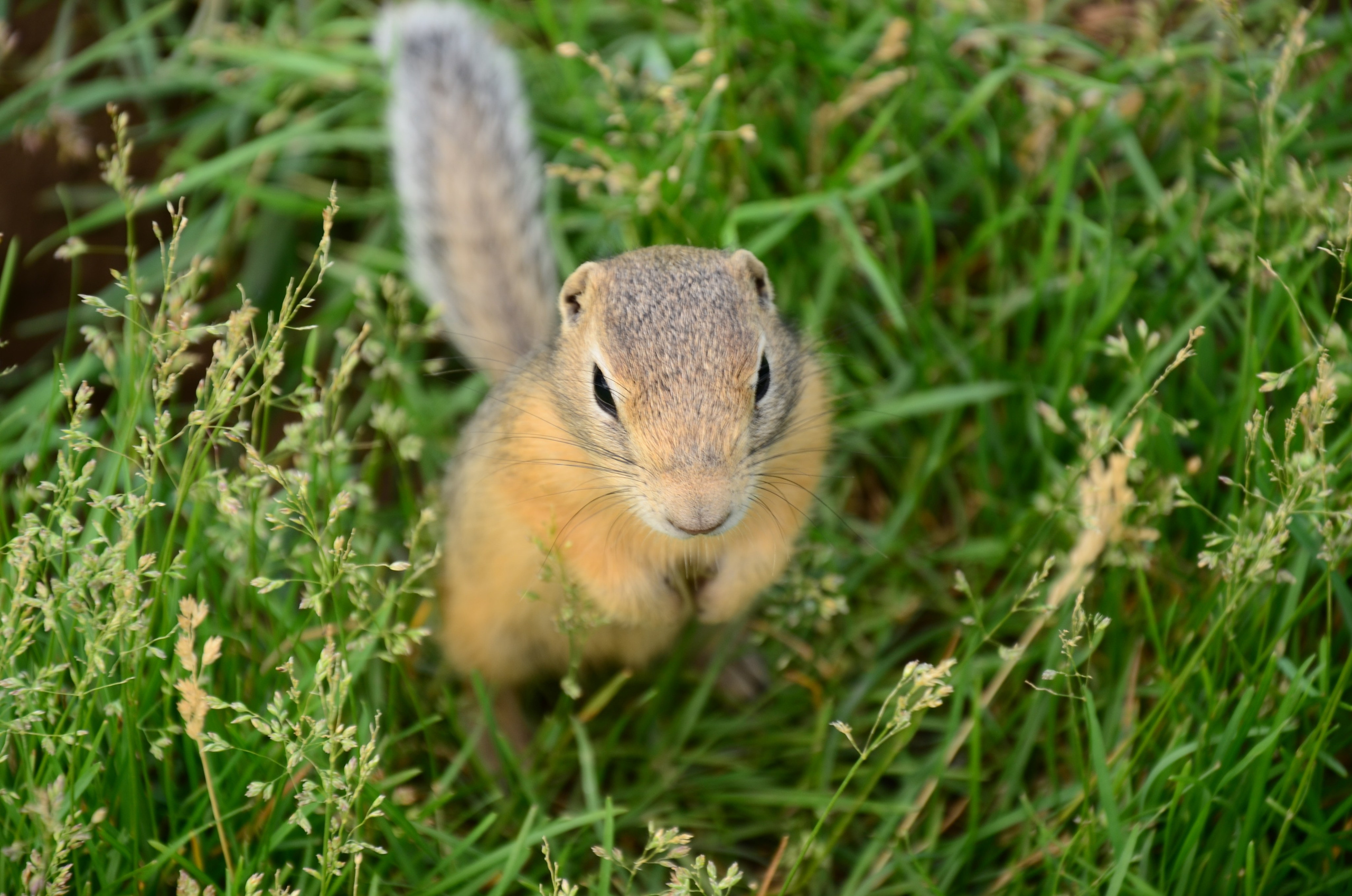 Дары природы. Фотограф viktor viktor