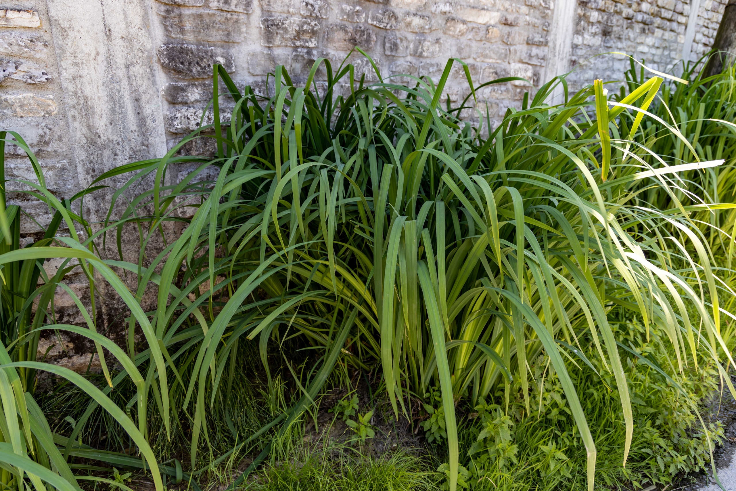 Сочи. Солох Аул. Репортажный, семейный и студийный фотограф в Москве Демин Алексей