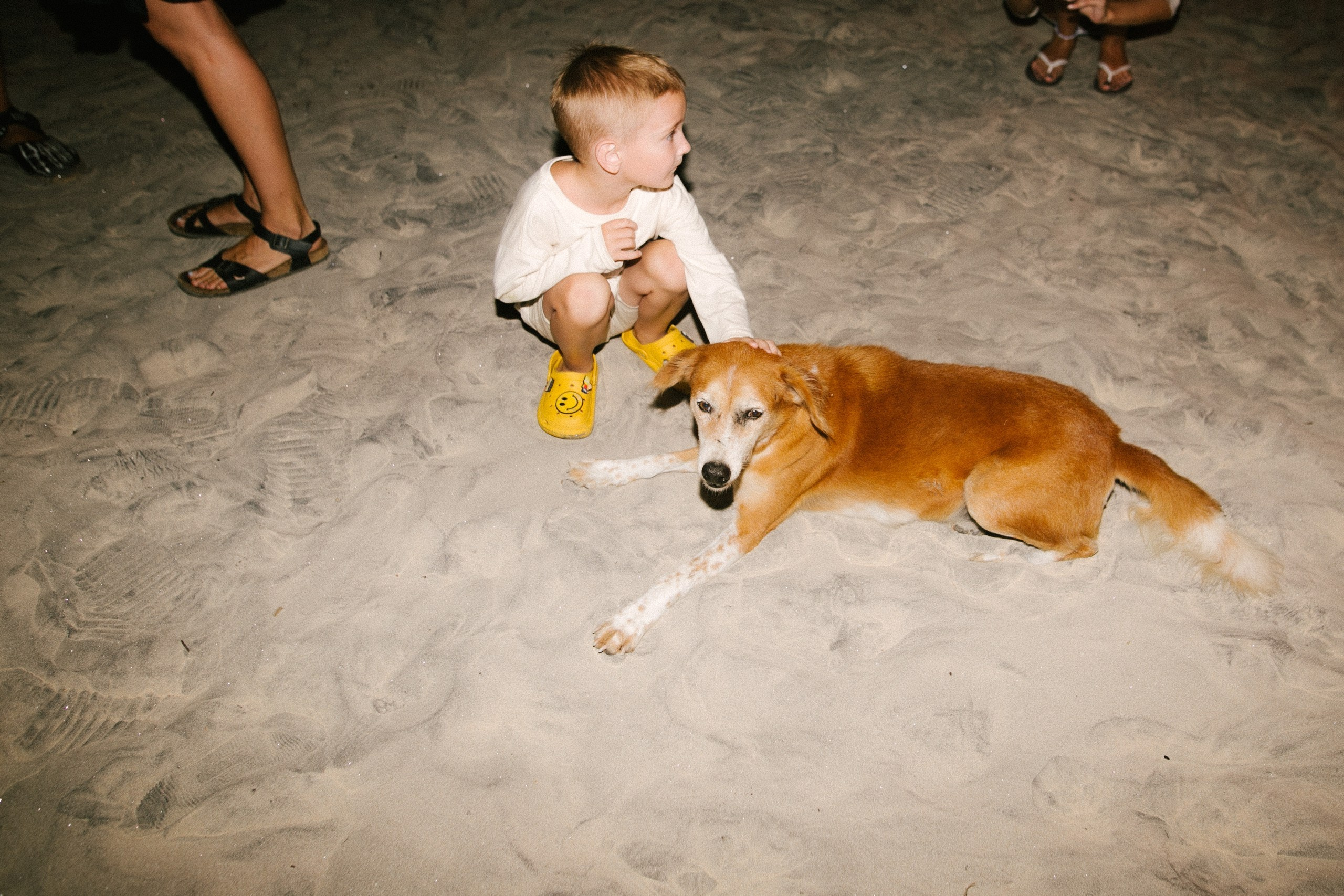 Good Story X PowerHouse. Wedding photographers Tbilisi Georgia Alex and Polly