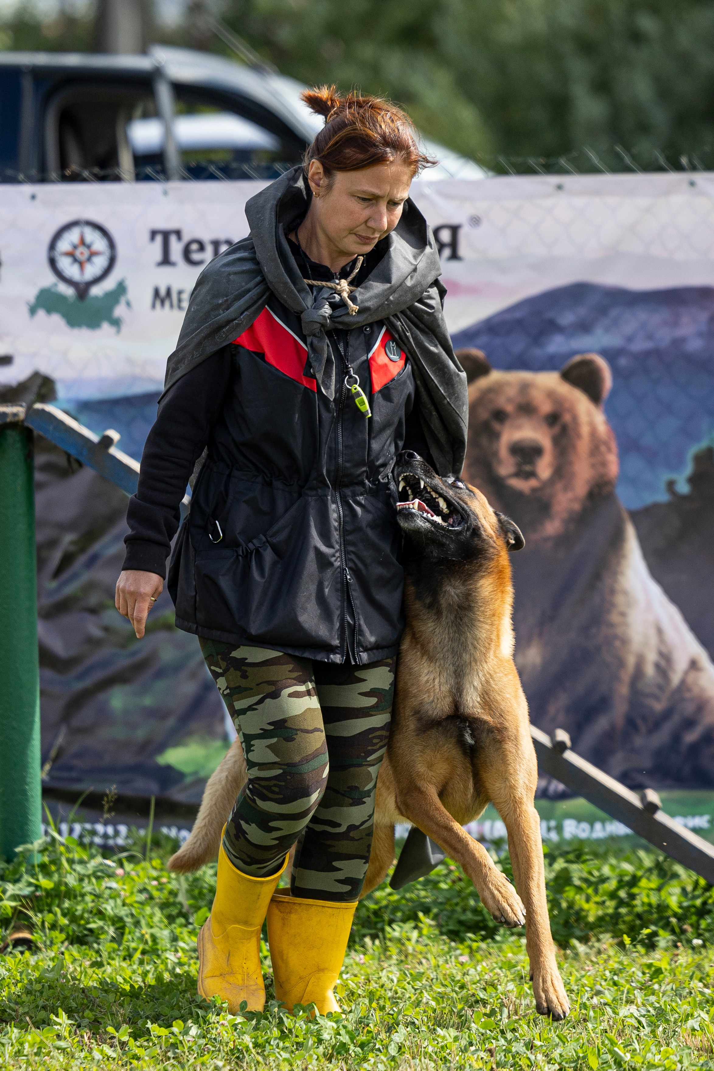 Соревнования по Мондьорингу г. Вологда 10-11.08.2024. Фотограф-анималист Анна Маринич
