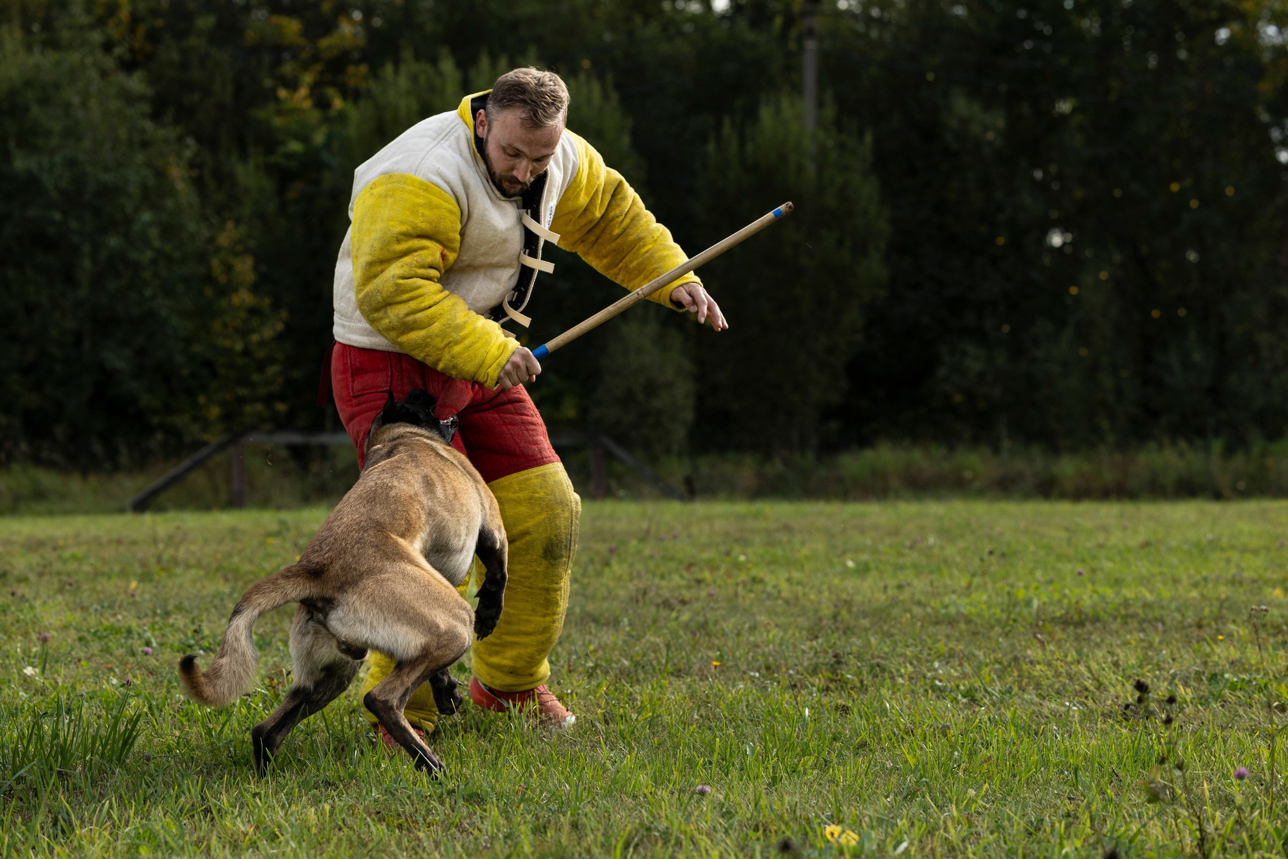 Испытания по Мондьорингу г. Пушкин. Фотограф-анималист Анна Маринич