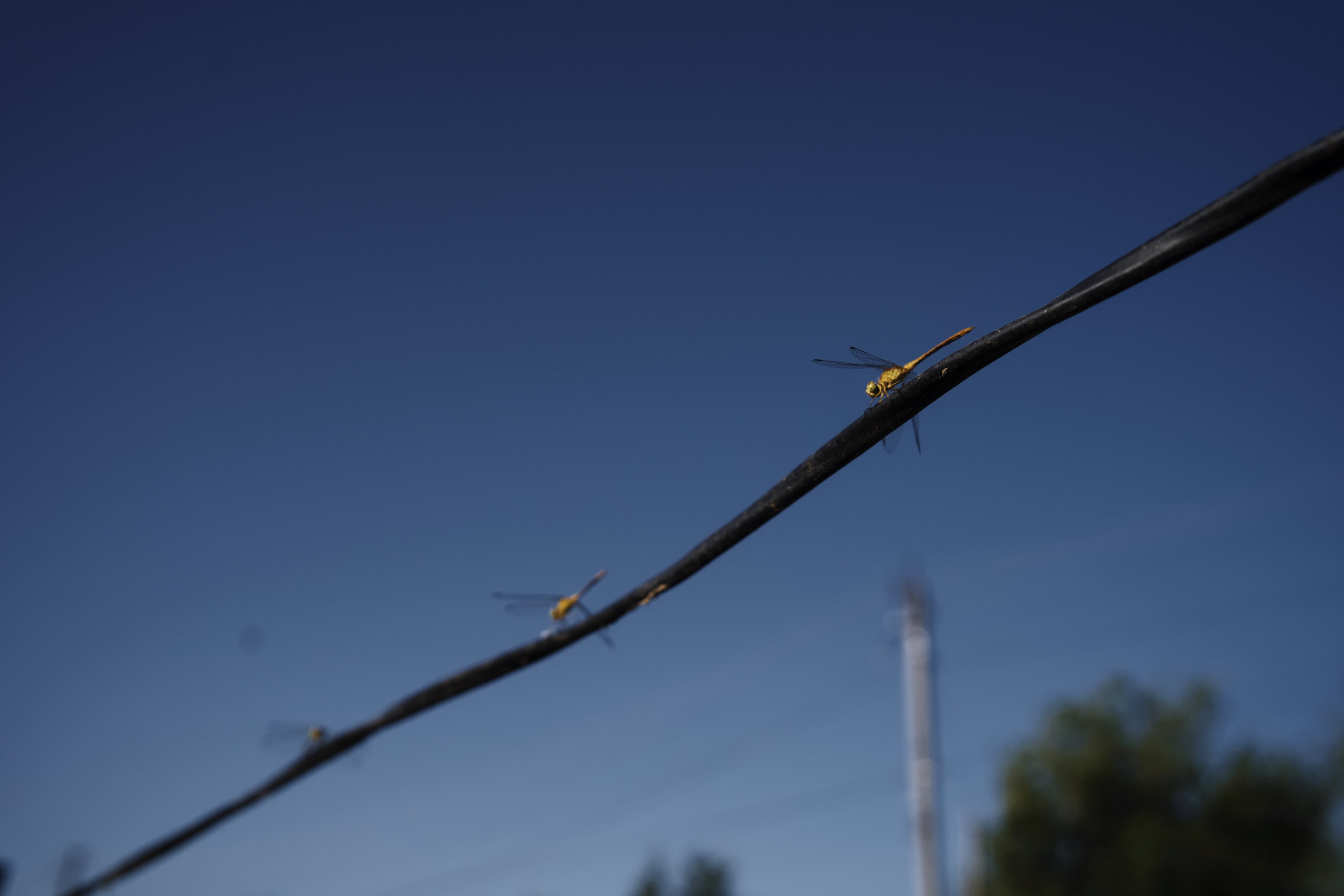 Визуальный дневник. Портретный фотограф в Москве Гахраманова Екатерина