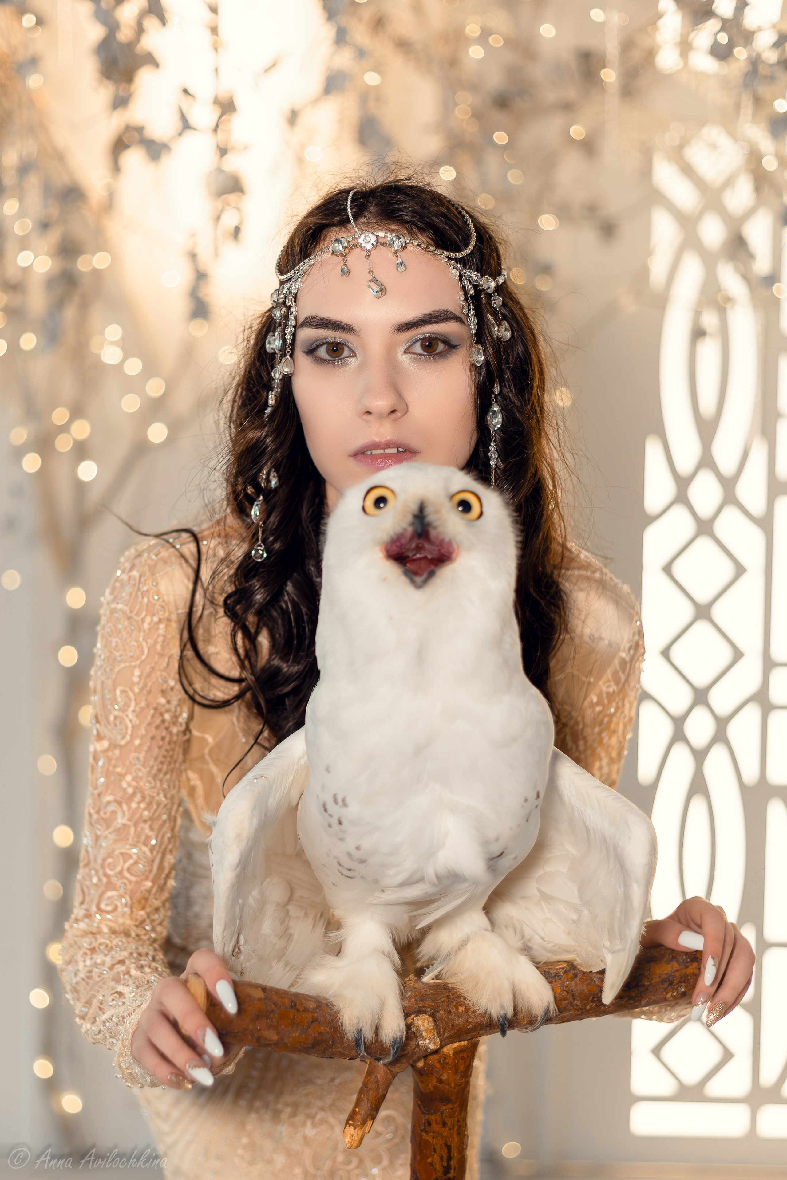 Фотосессия с животными. Семейный и свадебный фотограф в Москве и Домодедово Анна Авилочкина