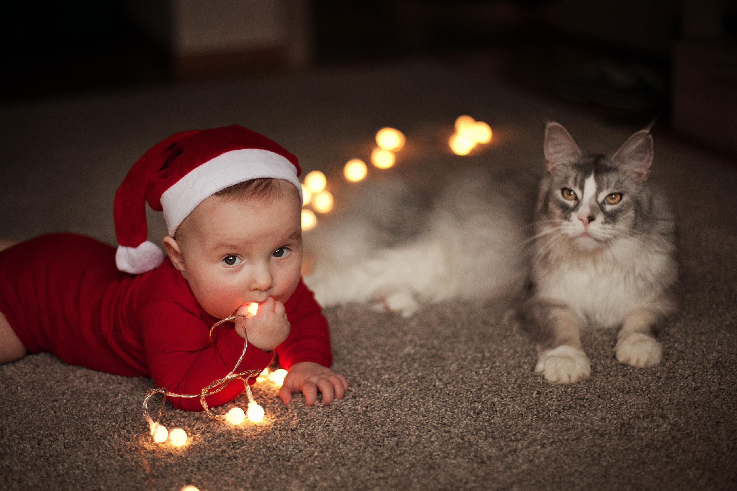 Наталья, домашняя рождественская съемка на пол годика. Фотограф Наталья Яковлева, Санкт-Петербург. Семьи, ньюборн, крещения