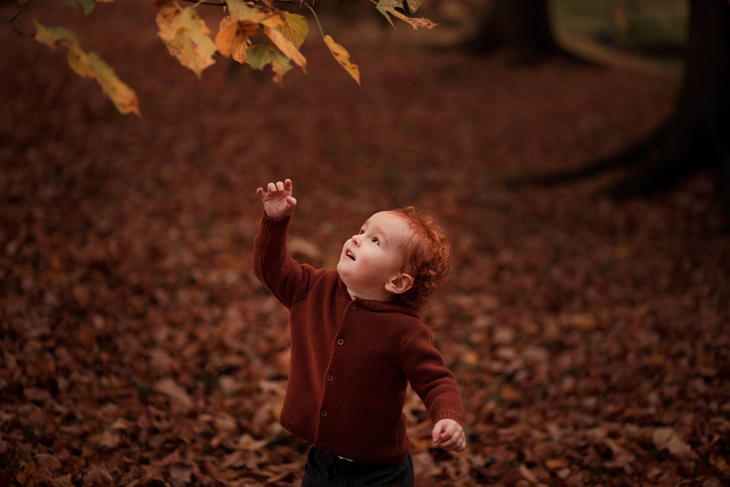 Анастасия, осенняя прогулка в Ораниенбауме. Фотограф Наталья Яковлева, Санкт-Петербург. Семьи, ньюборн, крещения