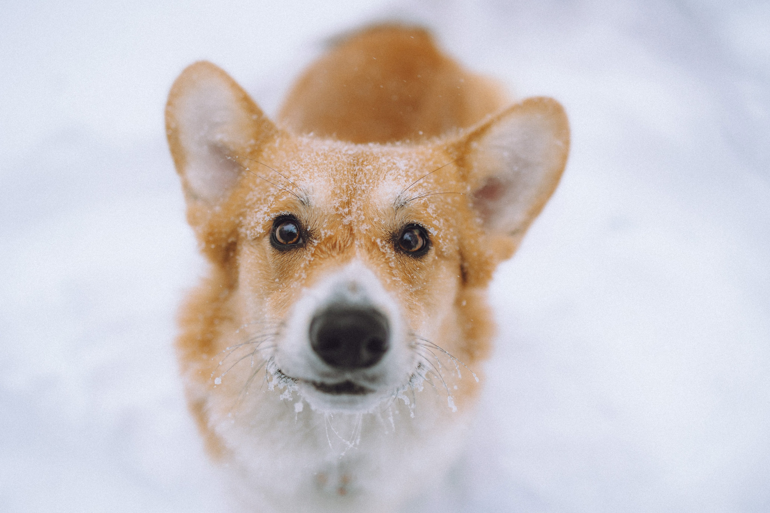 Юля и Юпитер