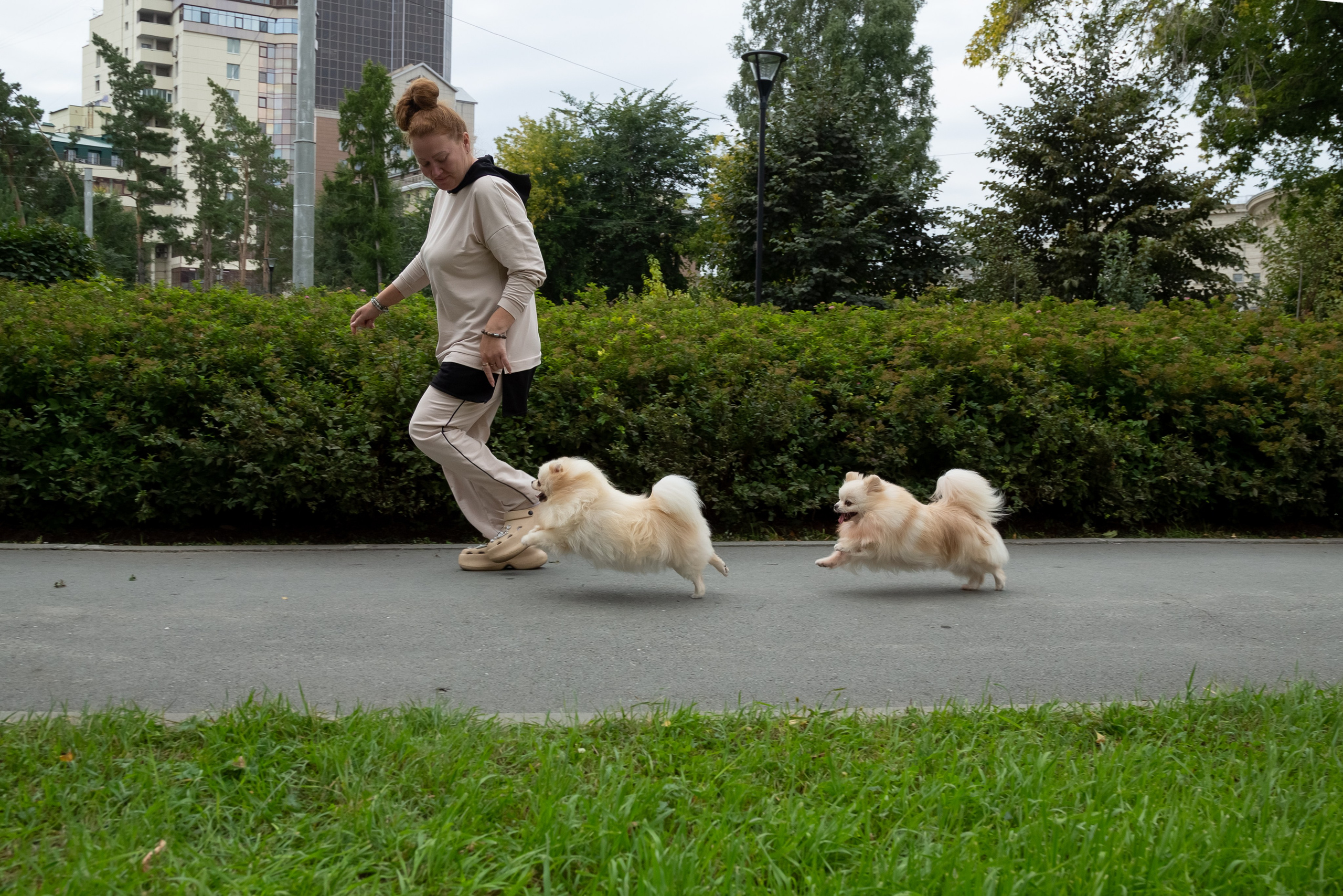 Фотосессия с животными. Фотограф в Барнауле Татьяна Чурикова