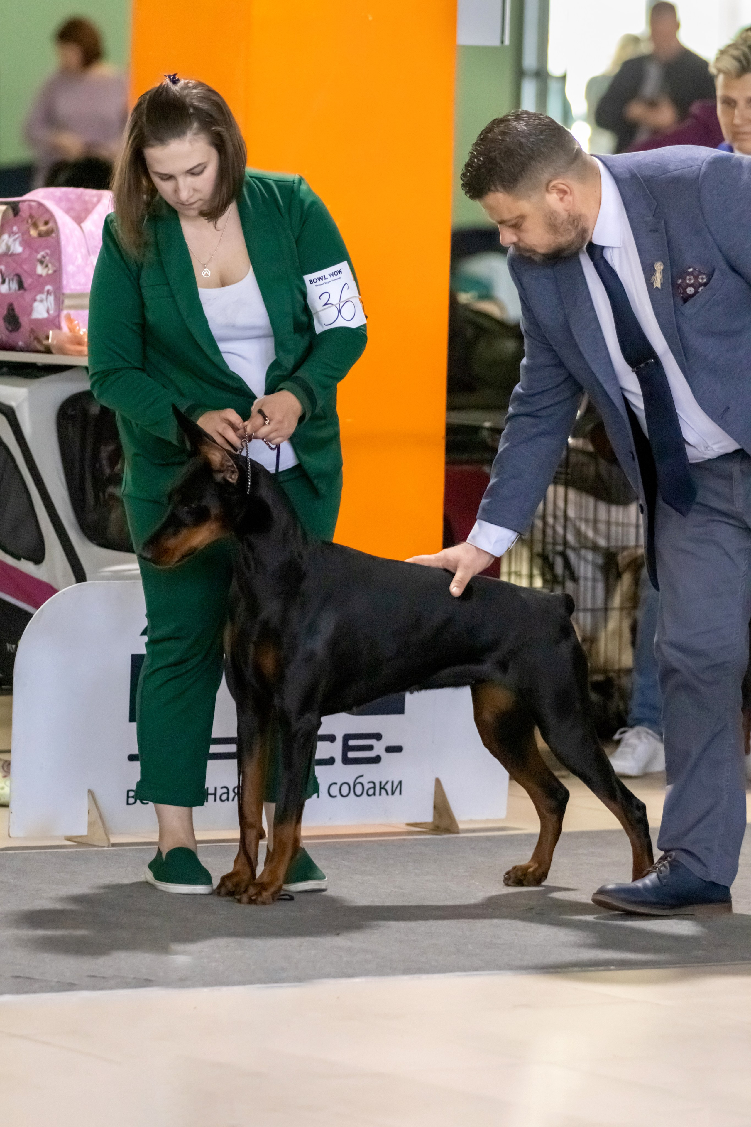 Выставки. Фотограф — анималист в Москве и области Ольга Петракова